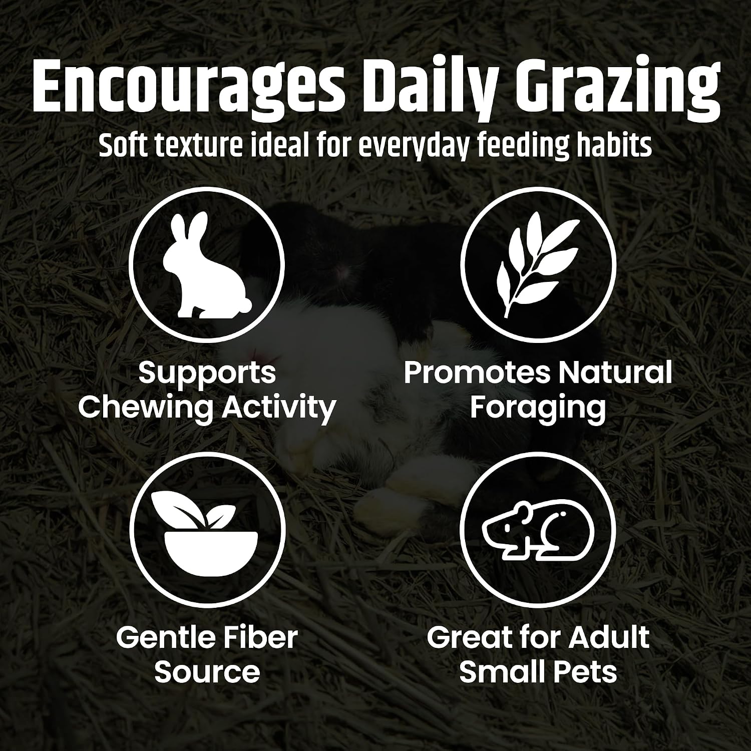 High Desert Orchard Grass Hay, Natural Orchard Hay for Rabbits Guinea Pigs Hamsters and Chinchillas, Soft Leaf Texture for Grazing and Foraging, Small Pet Supplies, Fresh Hand Packed Hay Box, 4 Lb - Image 3