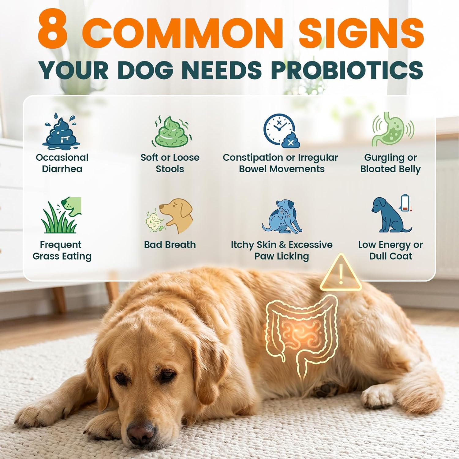 Probiotics for Dogs, Dog Probiotics for Yeast, Itchy Skin and Itchy Ears, Allergies, Immunity, Dog Gut Health Probiotic for Digestive Enzymes & Prebiotics for Diarrhea & Gas Relief (Chicken, 200 Chew) - Image 4