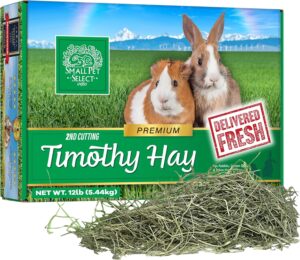 Small Pet Select 2nd Cutting Perfec...