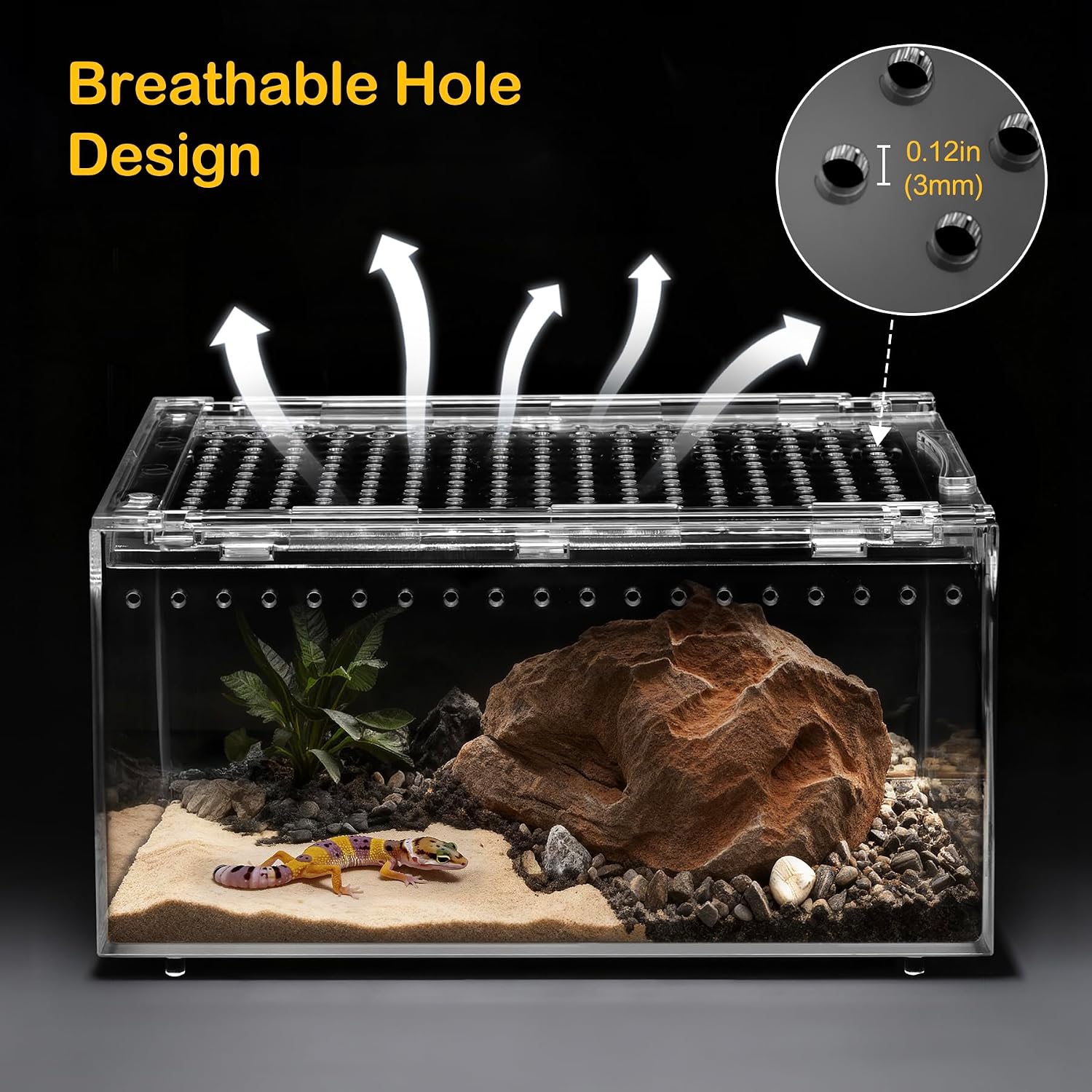 Large Reptile Tank PC Starter Kit,Escape Proof Tarantula Enclosure | Hermit Crab Habitat,Spider Terrarium for Isopods Cage,Insect House, Small Pac-Man Frog Cribs,Bug Container,Beetle Vivarium - Image 6