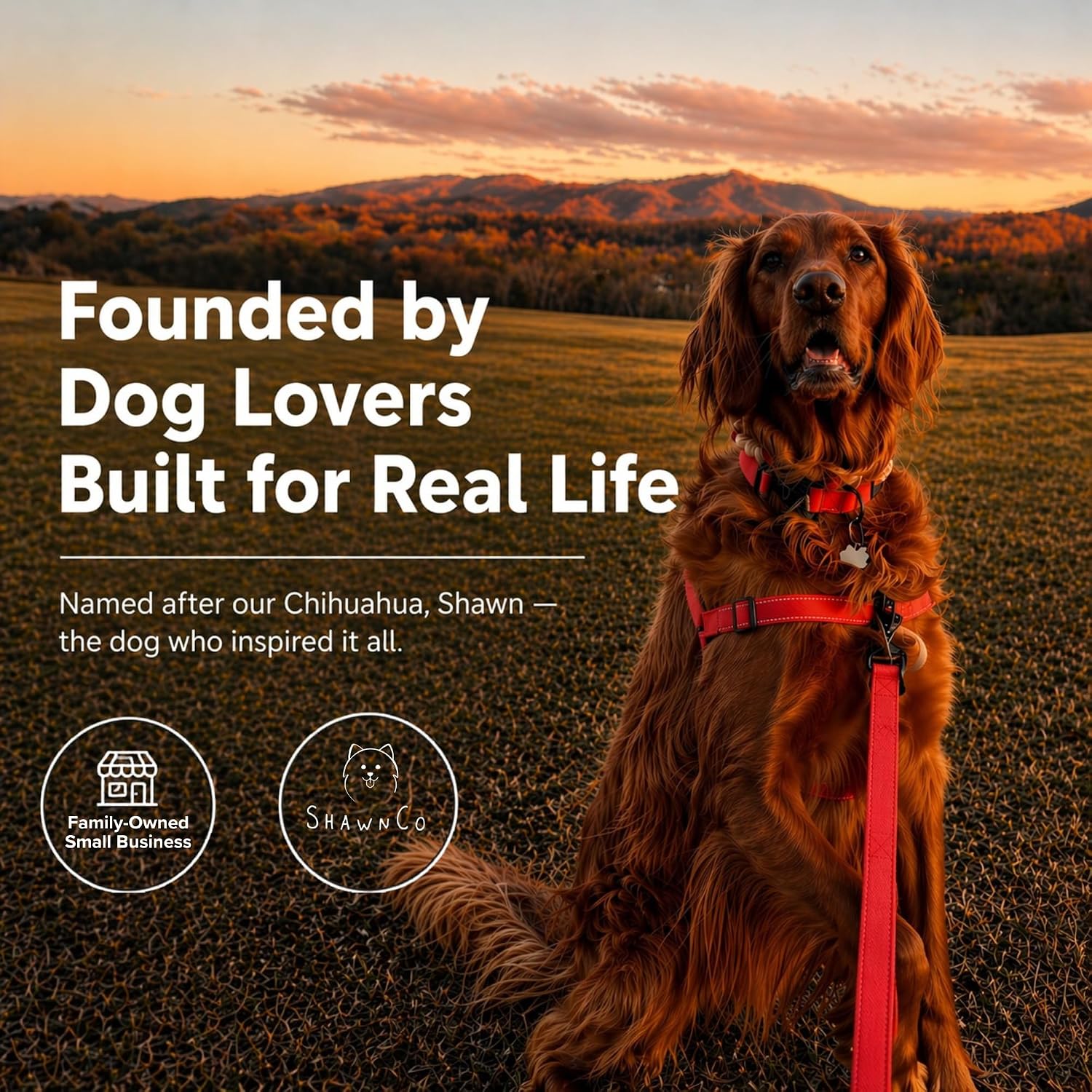 ShawnCo Dream Walk Pro Dog Harness- No-Pull, Comfortable, Adjustable, Easy to Use Pet Halter to Help Stop Pulling for Small, Medium and Large Dogs (Driftwood, Large) - Image 8