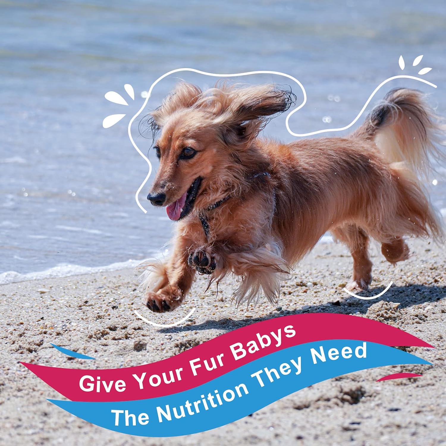 NATURE TARGET Dog Vitamins Powder, Probiotics & Digestive Enzymes for Gut Health, Glucosamine & Chondroitin & Omega 3, Complete Supplement for Homemade Dog Food, Joint & Skin & Immune Support - Image 9