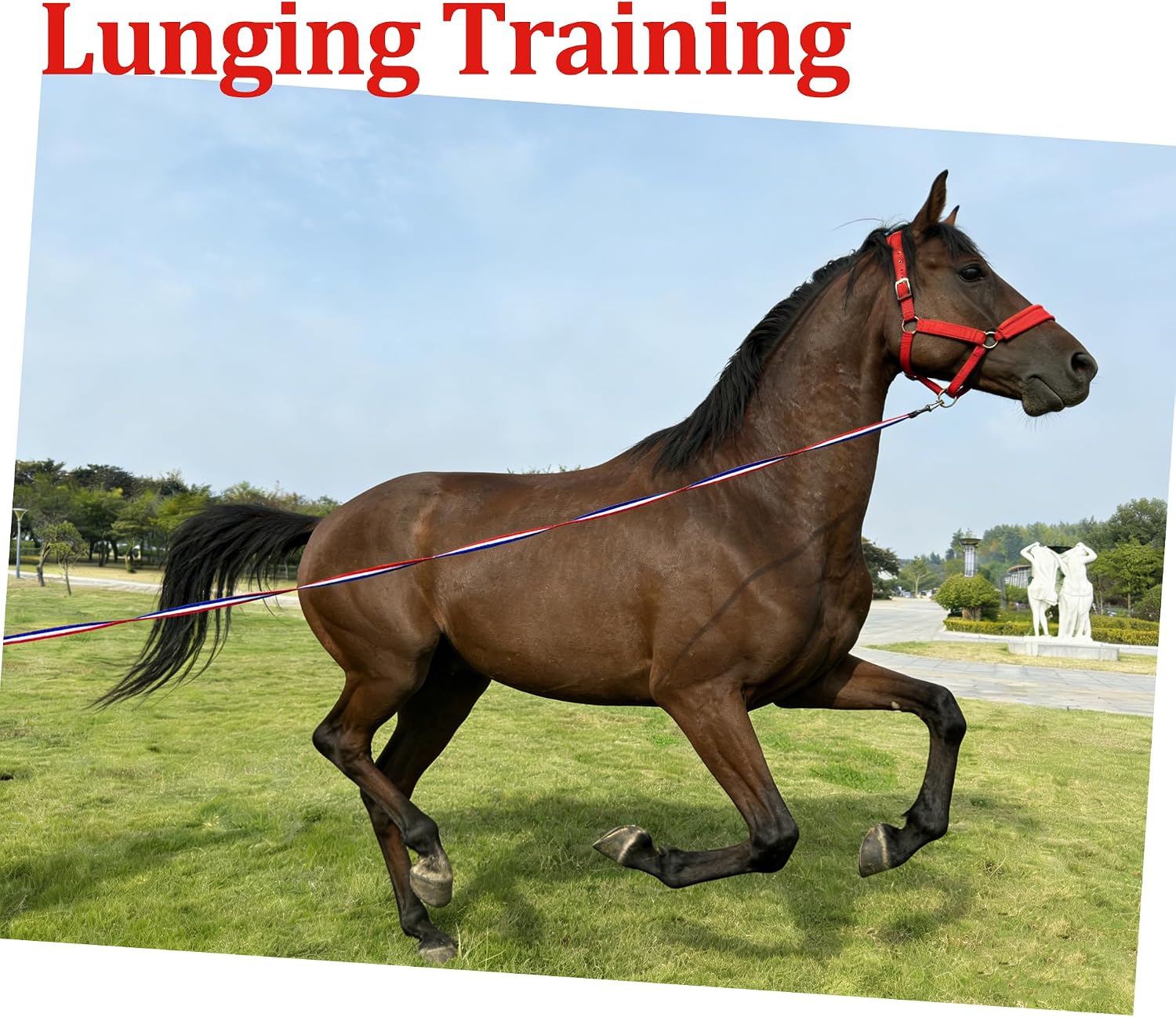 Horse Lunge Line, 26 ft / 8m, Flat Lunge Line with Heavy Duty Swivel Snap for Horses Daily Training | Durable Equestrian Lunge Rope for Lunging, Ground Work - Image 8