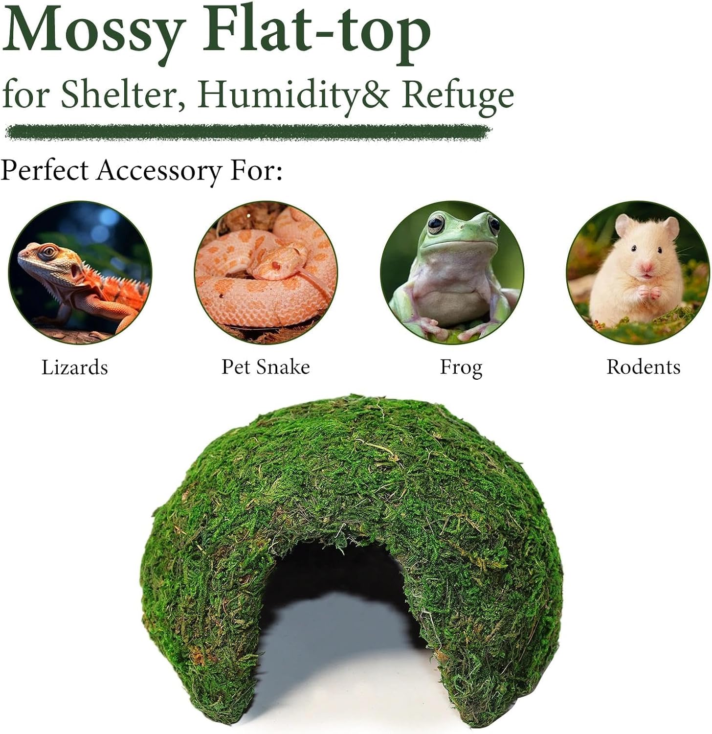 Reptile Moss Hideout, Half Round Cave for Lizards Snakes Frogs | Reptile Moss Hideout, Half-round dome shape, Full moss exterior coverage, Spacious interior room, Stable on all substrates - Image 5