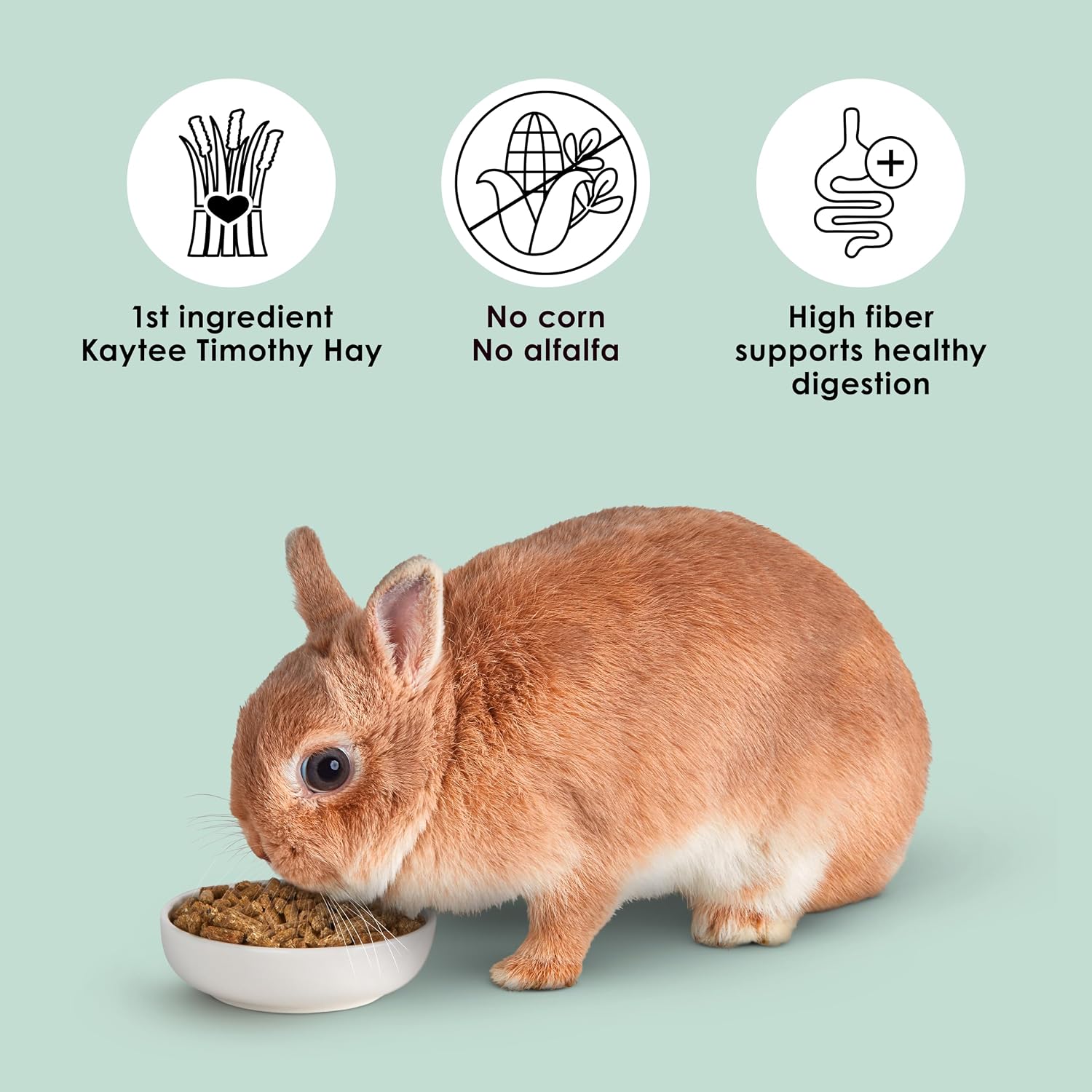 Kaytee Timothy Complete Rabbit Food, Made with Timothy Hay, High in Fiber, Supports Dental Health and Digestion, 9.5 pounds - Image 6