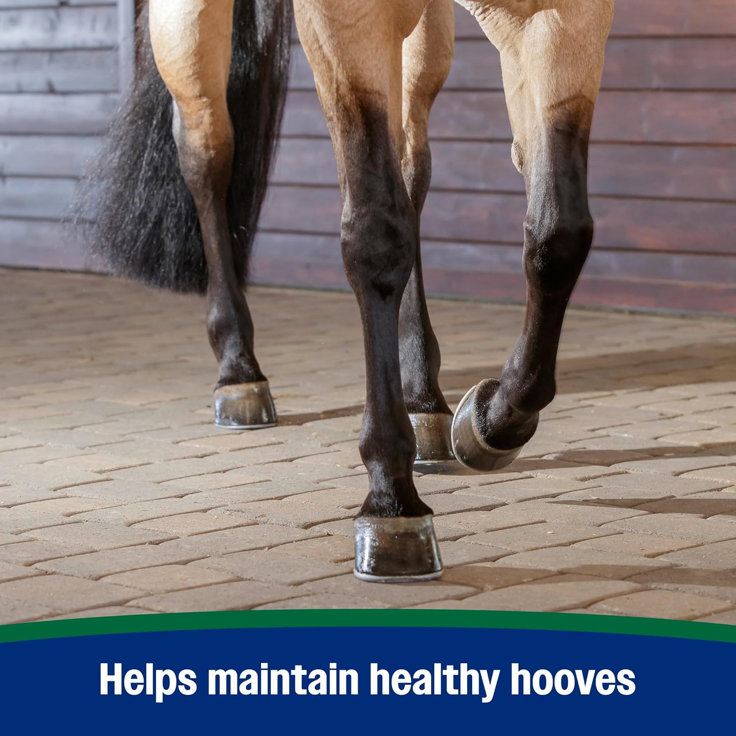 Farnam Horseshoer's Secret Pelleted Hoof & Biotin Supplements, Nutrient-Rich Formula with Amino & Fatty Acids, Omega-3 Minerals, Promotes Hoof Growth & Supports Cracked Hooves, 11 lb, 30-Day Supply - Image 6
