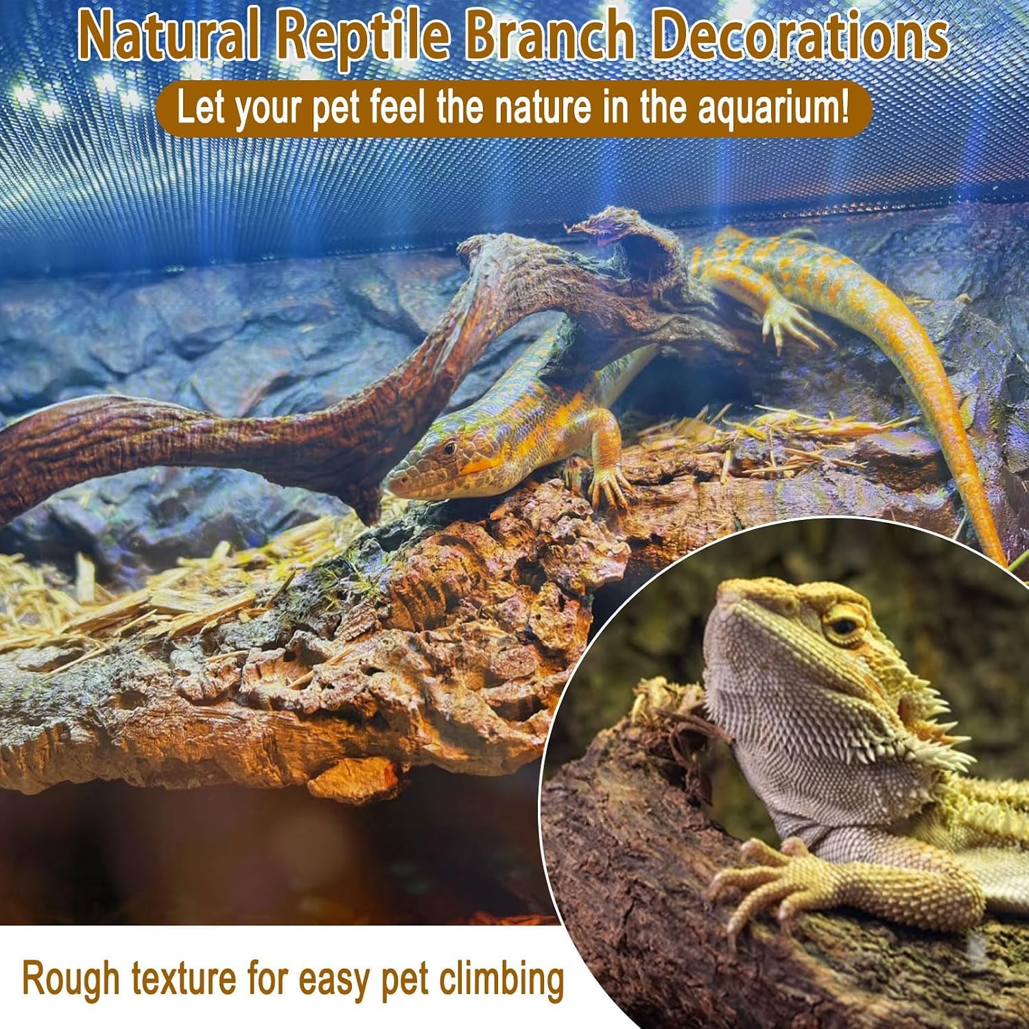 Reptile Decor 3PCS Natural Forest Branch Terrarium Habitat Decoration Lizard Climbing Tree Branch for Bearded Dragon Gecko Snake Frog Chameleon Spider - Image 2