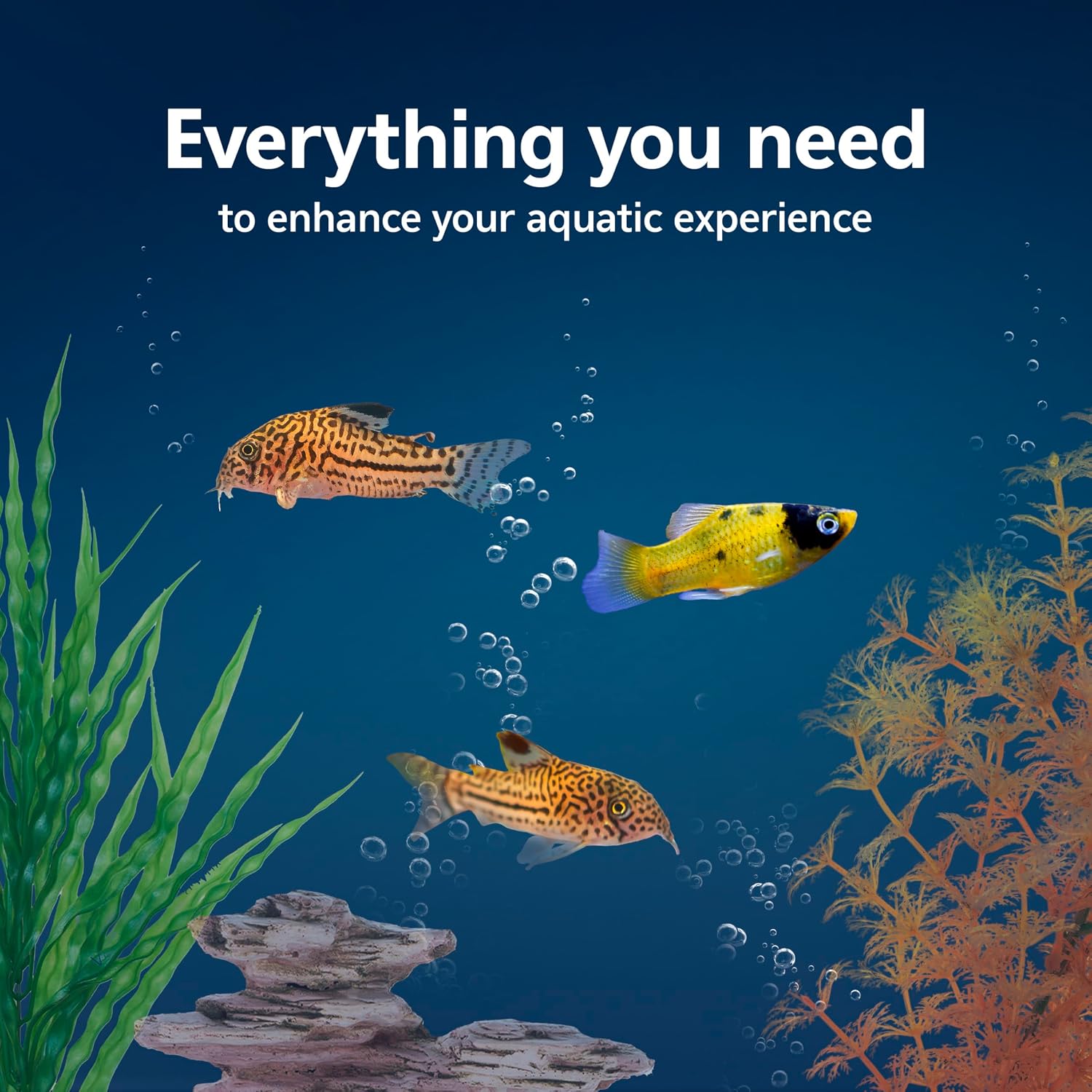 Aqueon Aquarium Starter Kit with Smart Clean Filtration and LED Lighting, Freshwater and Saltwater Fish, Perfect for Tetras, Guppies, Platies, 10-Gallon - Image 2