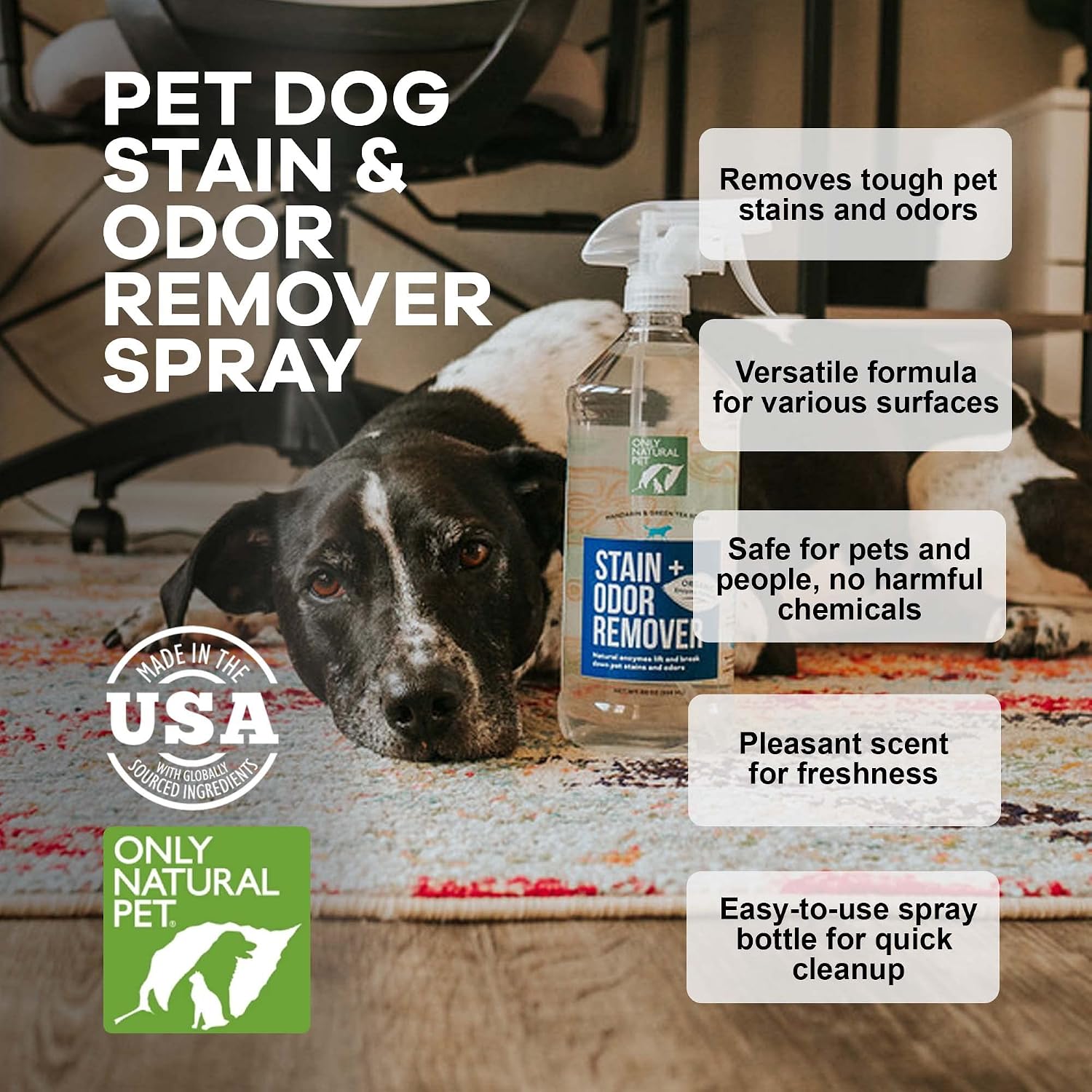 Only Natural Pet Stain & Odor Remover – Enzyme-Based Plant-Derived Formula for Dogs – Dog Stain & Urine Cleaner for Hardwood, Carpet & Upholstery – Fresh Mandarin Orange & Green Tea – 32 fl oz - Image 6
