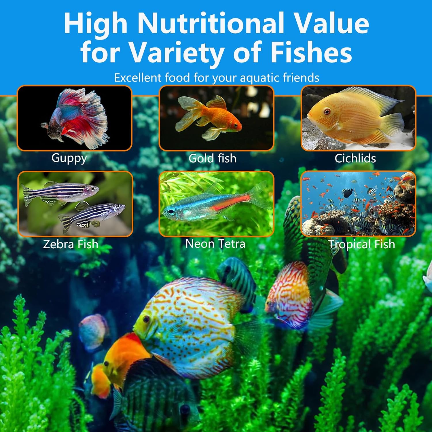 Brine Shrimp Fish Food - High Protein Non-Living Adult Brine Shrimp for Bettas, Goldfish, Cichlids & - Color Enhancing, -Instant Liquid Slow Sinking Tropical Fish Food (12.5oz) - Image 5