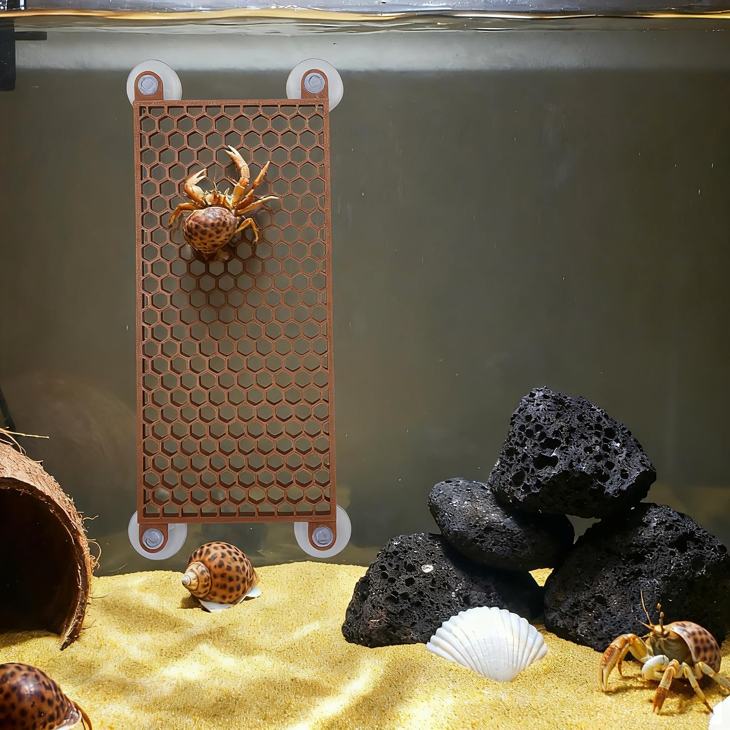 Hermit Crab Climbing Toy, Reptile Habitat Decor Exercise Playground Hermit Crab Accessories for Tank and Aquarium Decoration (Brown) - Image 3
