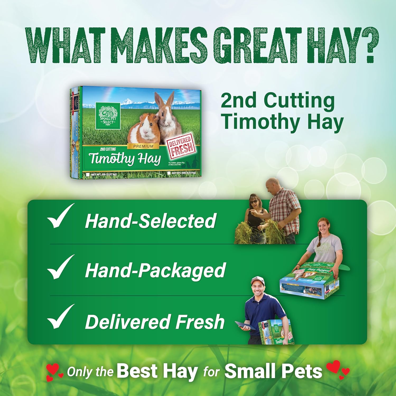 Small Pet Select 2nd Cutting Perfect Blend Timothy Hay Pet Food for Rabbits, Guinea Pigs, Chinchillas and Other Small Animals, Premium Natural Hay Grown in the US, 12 LB - Image 6