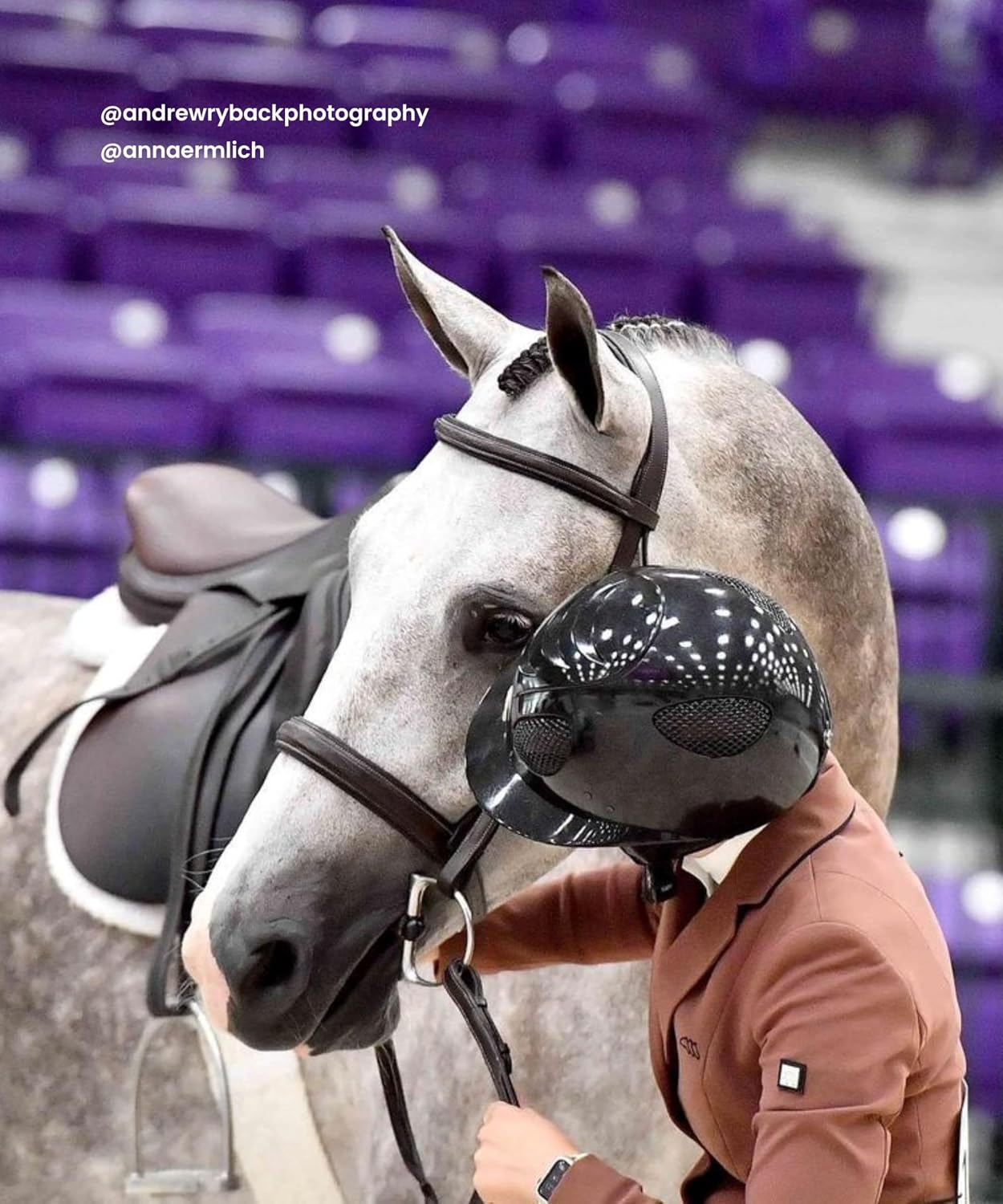 Exion Hunter Anatomic English Bridle for Horses – Padded Fancy Stitched Leather Bridle with Braided Reins – Ergonomic Poll Relief Crownpiece Horse Tack, Havana Brown, Cob Full Oversize - Image 6