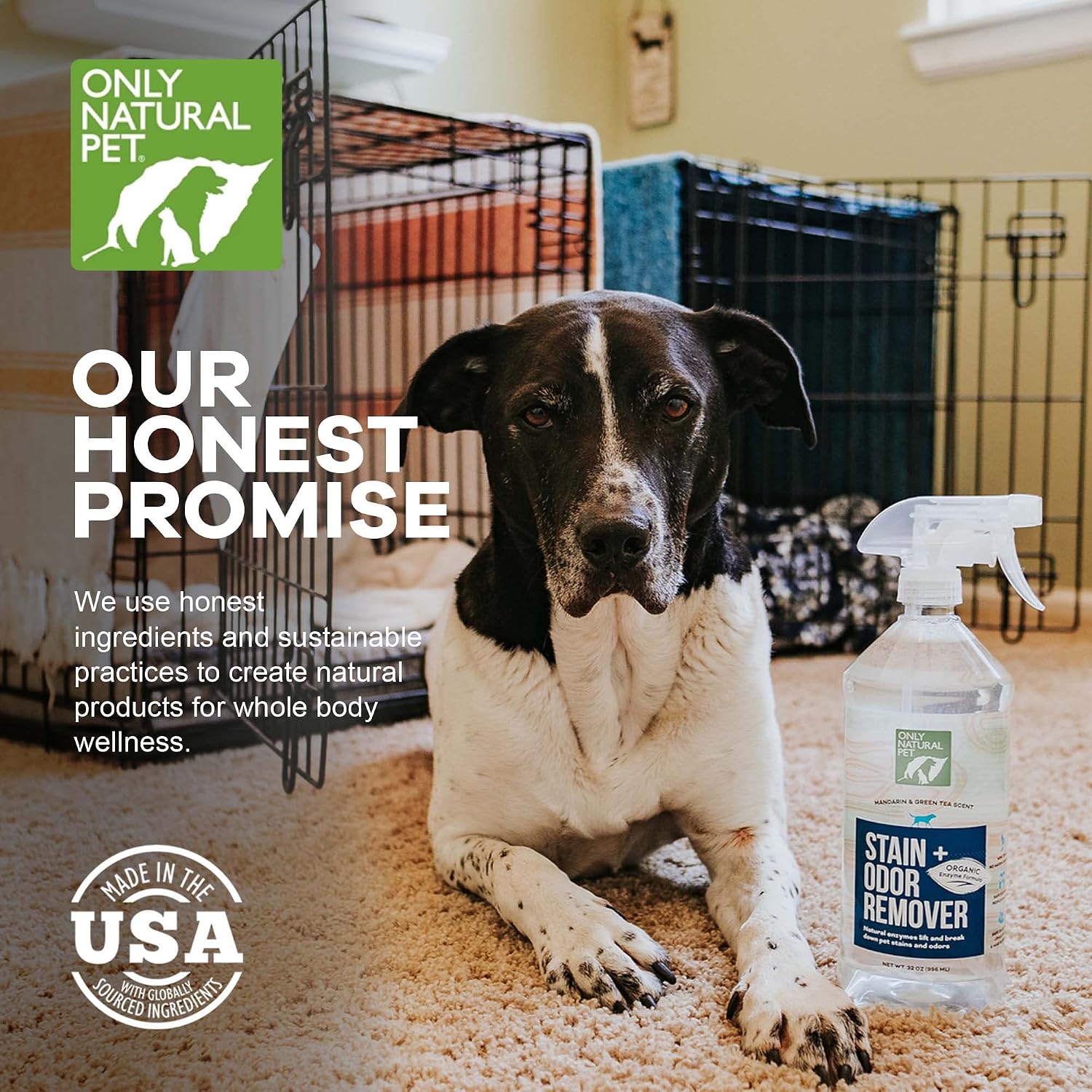Only Natural Pet Stain & Odor Remover – Enzyme-Based Plant-Derived Formula for Dogs – Dog Stain & Urine Cleaner for Hardwood, Carpet & Upholstery – Fresh Mandarin Orange & Green Tea – 32 fl oz - Image 4