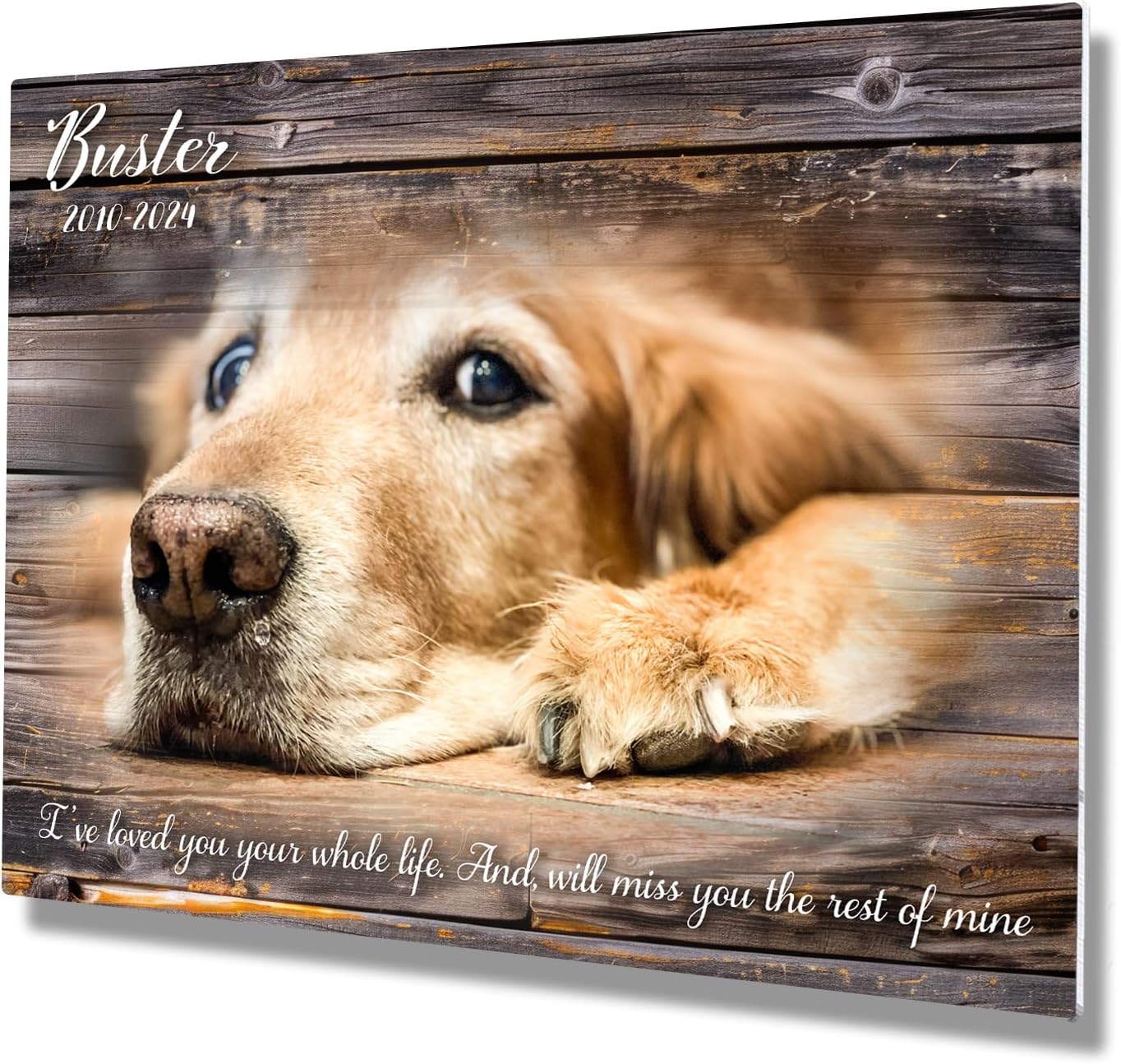 MUNDAZE Custom Pet Portrait Memorial Photo – Personalized Dog or Cat Loss Gift – Glossy Metal Print with Your Pet’s Photo – Sympathy Keepsake – Made and Shipped in USA