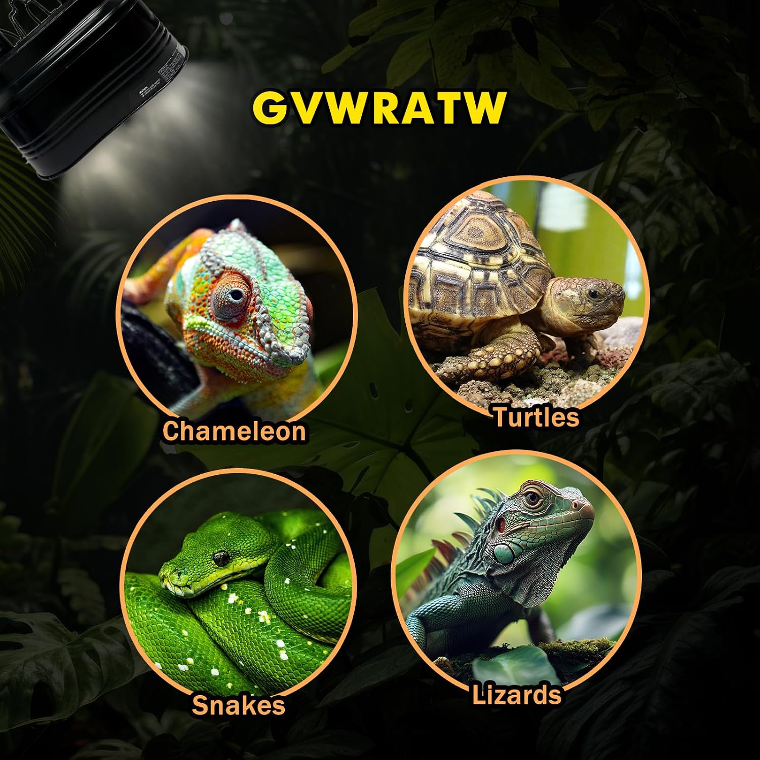 Reptile lamp, Maximum 160W Each Reptile hot lamp Comes with a Separate Switch, Suitable for Lizards, Turtles, Snakes, and Amphibians. - Image 8