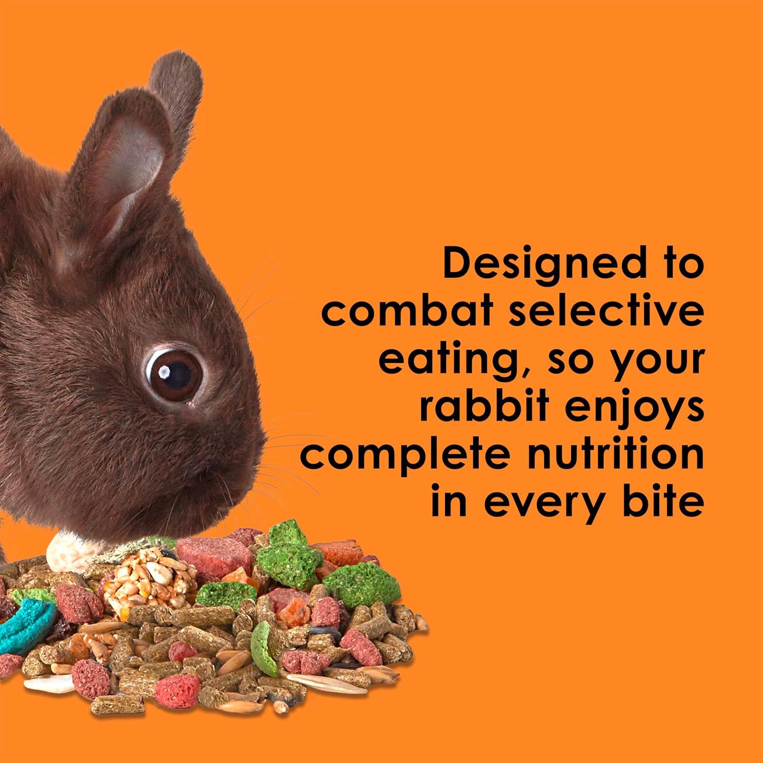 Kaytee Fiesta Rabbit Food, Nutritious and Fun Blend, Supports Dental Health and Digestion, 3.5 pounds - Image 4