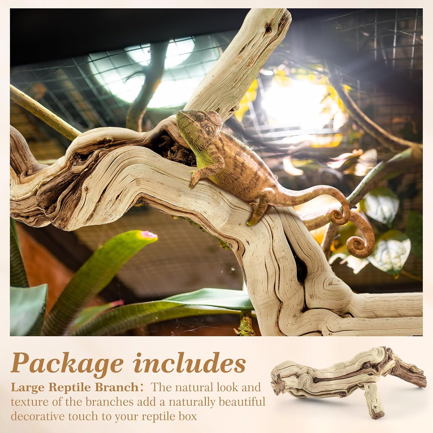 Janinka 18-20" Length Large Wood Reptile Branch for Bearded Dragon Driftwood Reptile Climbing Habitat Decoration for Terrarium Tree Trunk Ornament Gecko Frog Chameleon Spider - Image 3