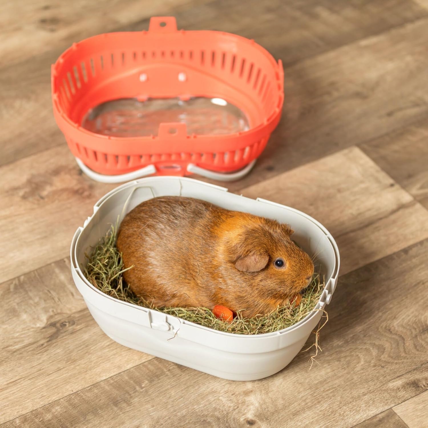 Trixie Pico Transport Crate - Portable Pet Carrier Great for On-The-Go - Traveling Cage for Small Pets, Hamsters, Guinea Pigs, Lizards, and More | Portable Pet Carrier, Ideal for On-The-Go, Traveling Cage for Small Pets, Hamsters, Guinea Pigs, Lizards - Image 7