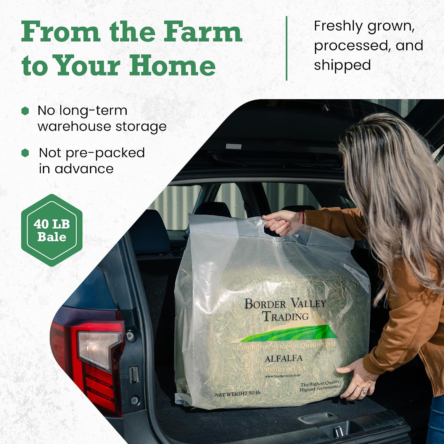 Border Valley Timothy Hay Bale in Bag, 40 lb - High Fiber Grass Hay for Rabbits, Guinea Pigs, Chinchillas, Tortoises, Horses and Livestock - Classic Coarse Grass Hay, Farm-to-Home Freshness - Image 6