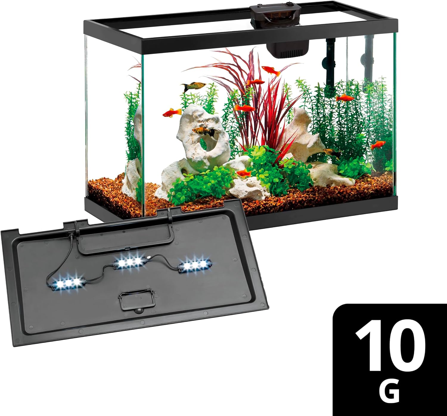 Aqueon Aquarium Starter Kit with Smart Clean Filtration and LED Lighting, Freshwater and Saltwater Fish, Perfect for Tetras, Guppies, Platies, 10-Gallon - Image 9