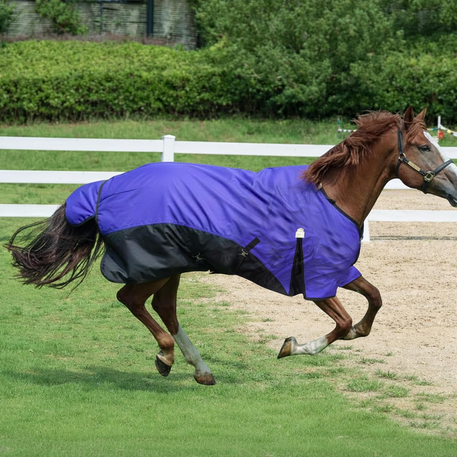 BARN & STABLE 600D Ripstop Lightweight Horse Turnout Sheet No Fill,Water-Resistant & Breathable Horse Blanket for Spring and Mild Weather, with Anti-Rub Fleece Withers - Image 9