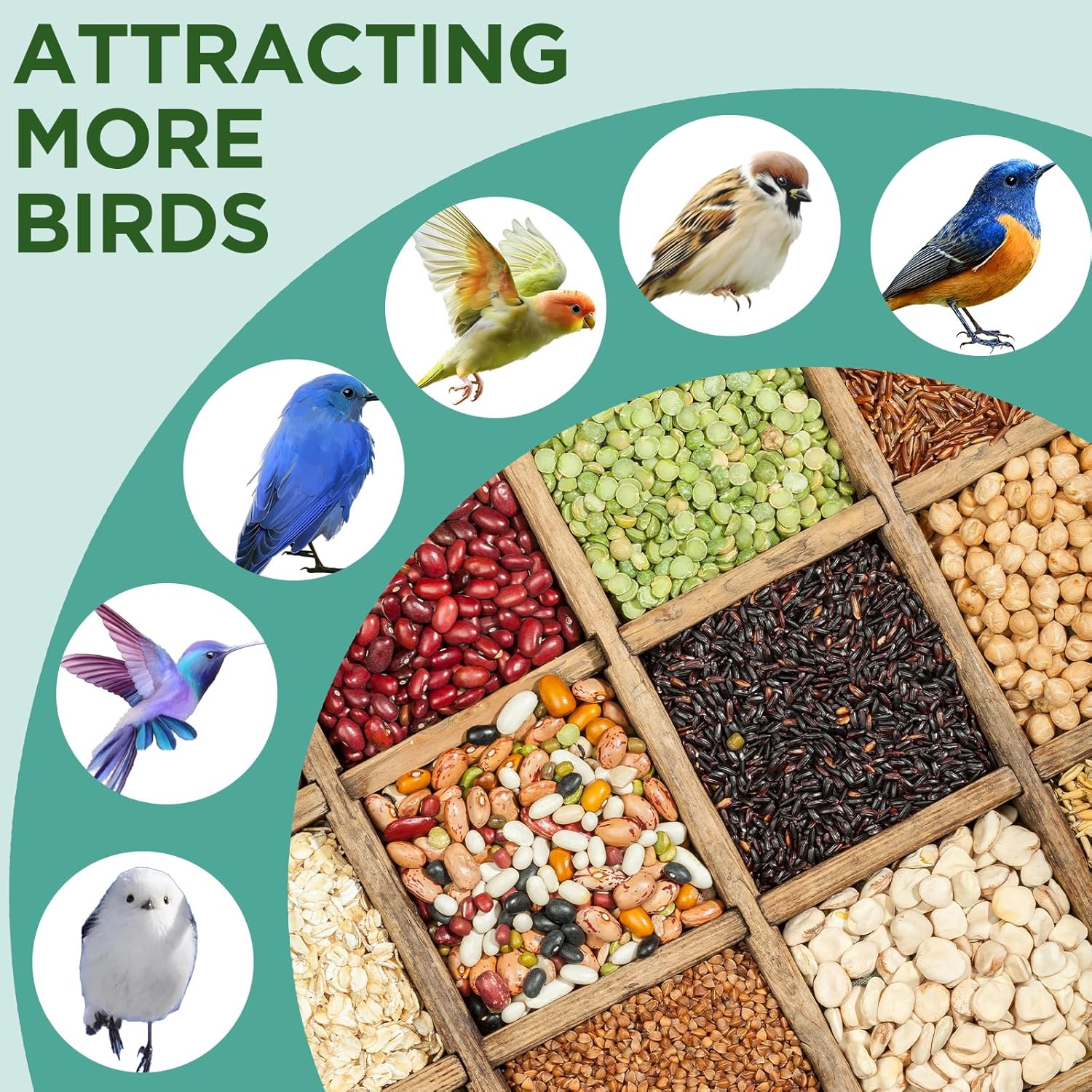 Cedar Wooden Bird Feeders for Outdoors Hanging– Large, Weatherproof Wild Bird House Feeder–Pre-Assembled, Hopper Design, Anti-Squirrel, Easy Fill for Cardinals, Bluebirds, Oriole & Finches - Image 7