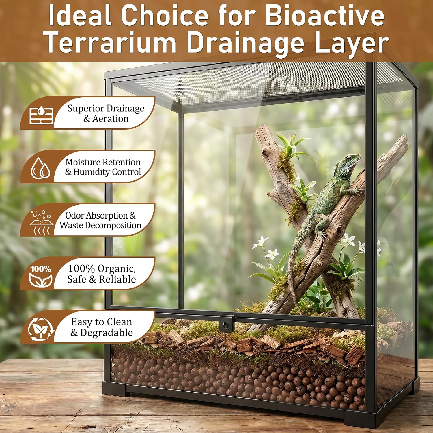 Riare 4LBS Expanded Clay Balls Terrarium Substrate for Reptiles - 100% Organic Lightweight Clay Pebbles Substrate Frogs False Bottom Substrate, Bioactive Terrarium Substrate for Drainage and Moisture - Image 3