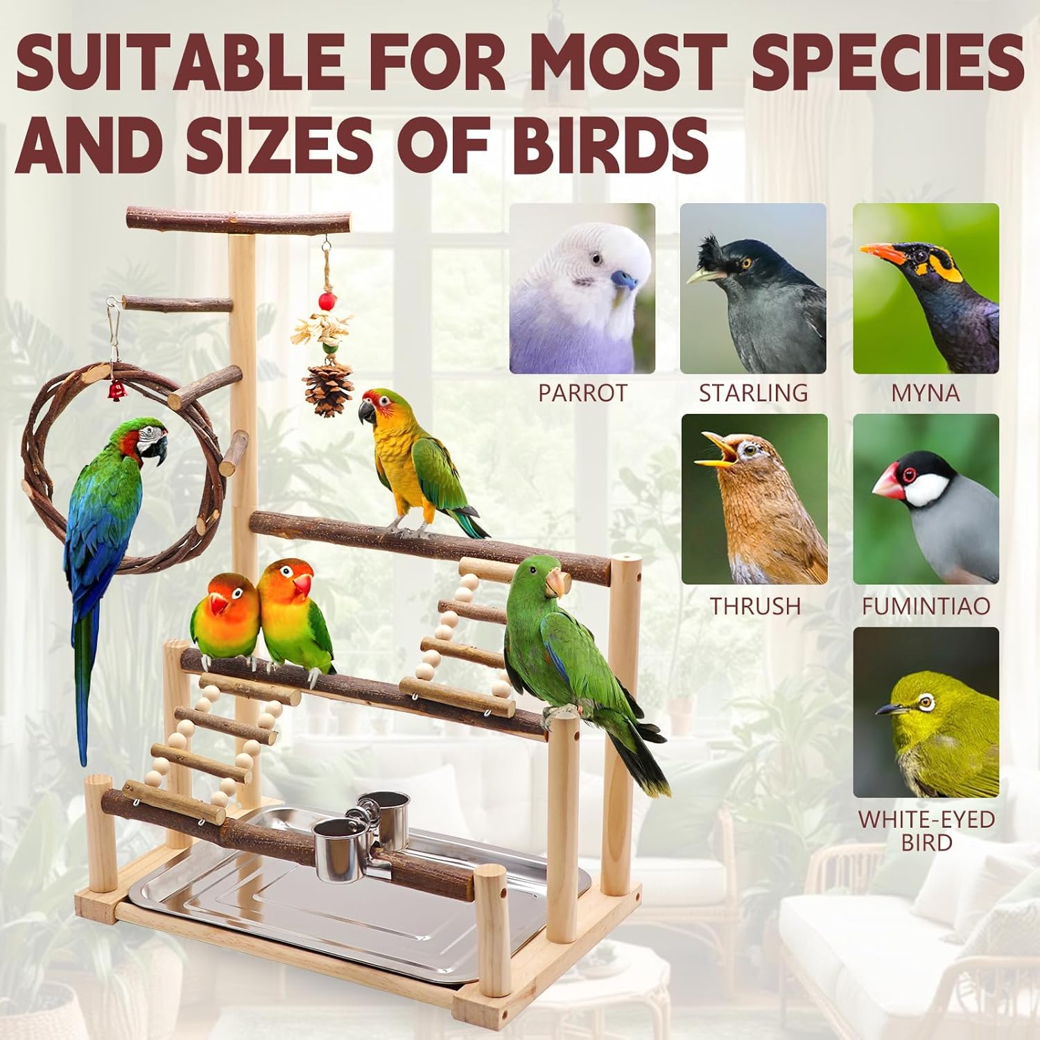 Bird Playground, Natural Wooden Parrot Stand Suitable for Small and Medium Birds, with Feeding Cups, Swing, Chew Toys,Bird Perch Ideal for Parakeets, Budgerigars,Canaries,Conures - Image 5