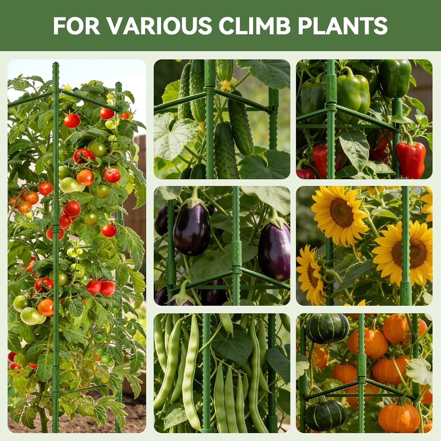 Halatool 2 Pack Tomato Cages for Garden, Up to 63 inch(5.2FT) Adjustable Tall Tomato Cage,Garden Stakes Tomato Trellis for Pots,Tomato Plant Support for Raised Garden Bed &Vegetables Flowers(Green) - Image 9