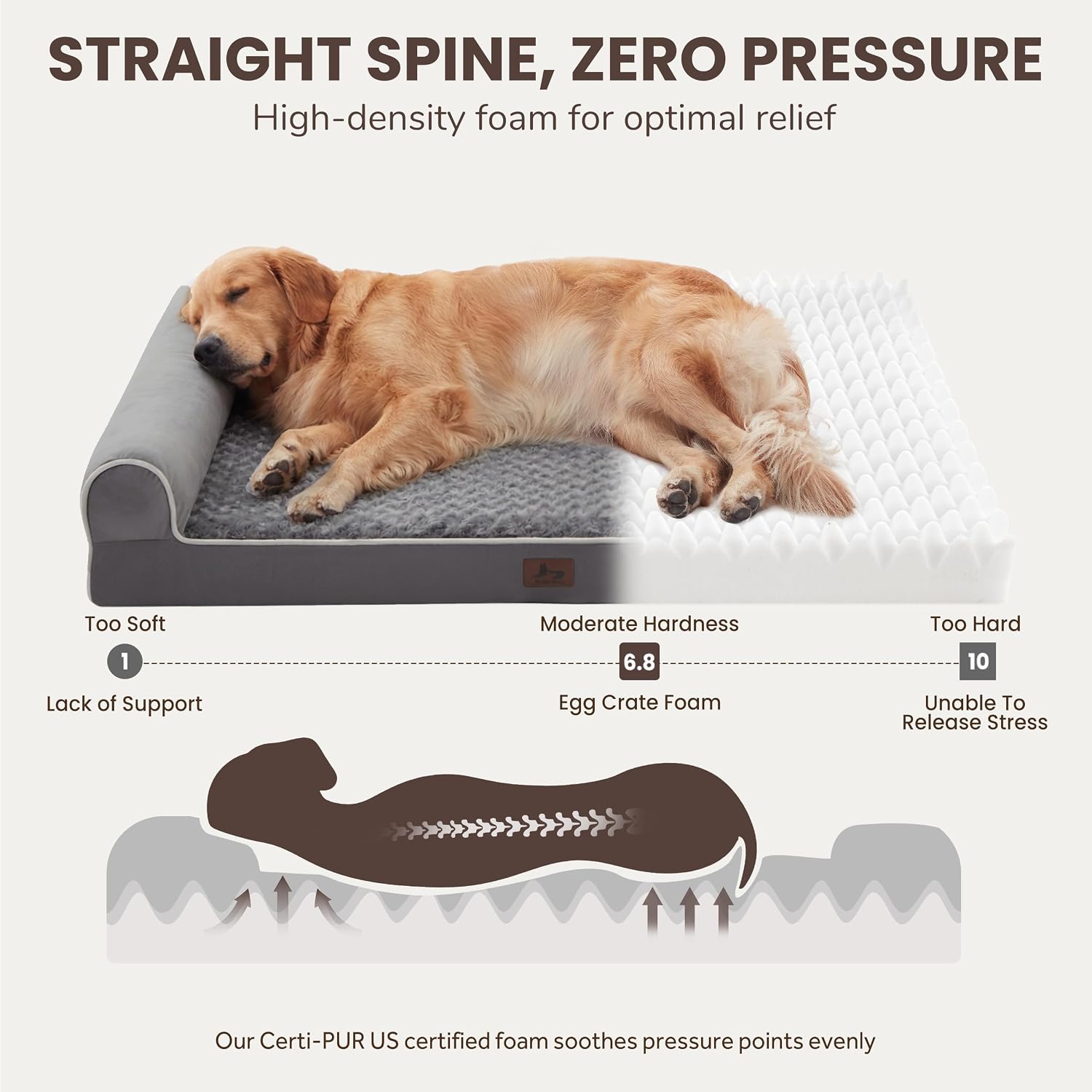 Large Dog Beds Large Sized Dogs 45x35x7 Inch, Orthopedic XXL XL Dog Bed for Medium Size Dogs, Big Waterproof Couch Sofa with Removable Washable Cover for Pet, Dark Grey - Image 2