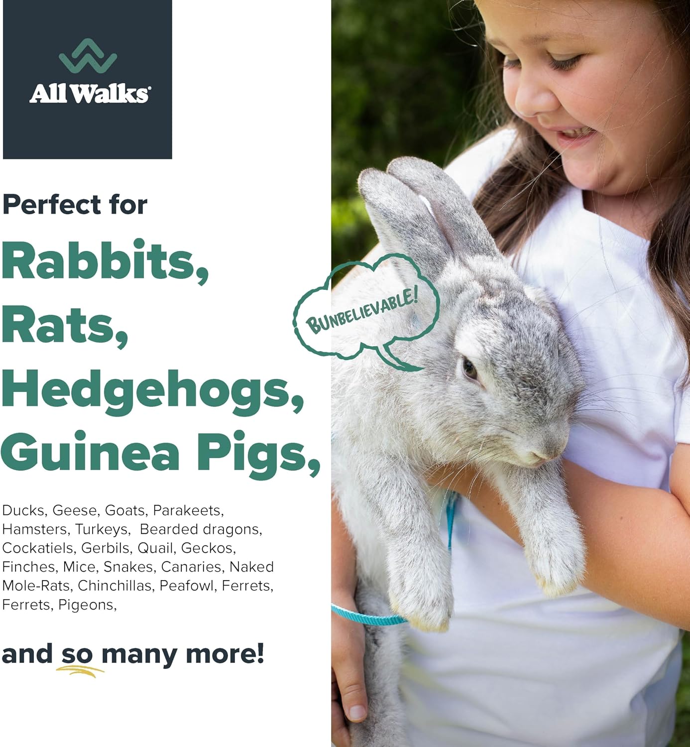 All Walks | Hemp Bedding for Small Animals 18.5L (3.7 LBS) | Low Dust, Odor Control, Highly Absorbent, Natural Cage Bedding for Rabbits, Hamsters, Guinea Pigs, Birds, and More - Image 6