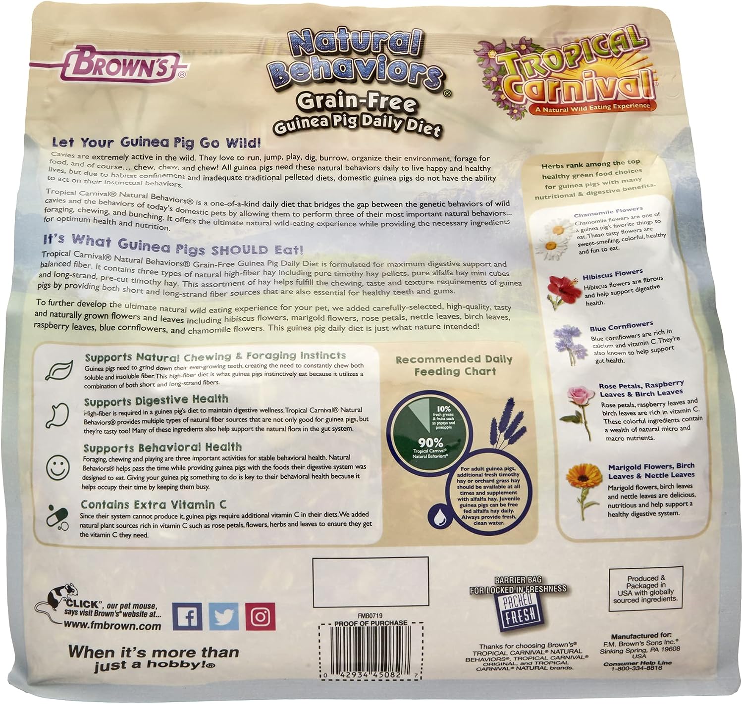 Tropical Carnival Natural Behaviors Grain-Free Guinea Pig Food – 4 Pounds, High-Fiber Timothy Hay Blend with Flowers & Leaves, Supports Natural Foraging, Chewing, and Digestive Health, Added Vitamin C - Image 2