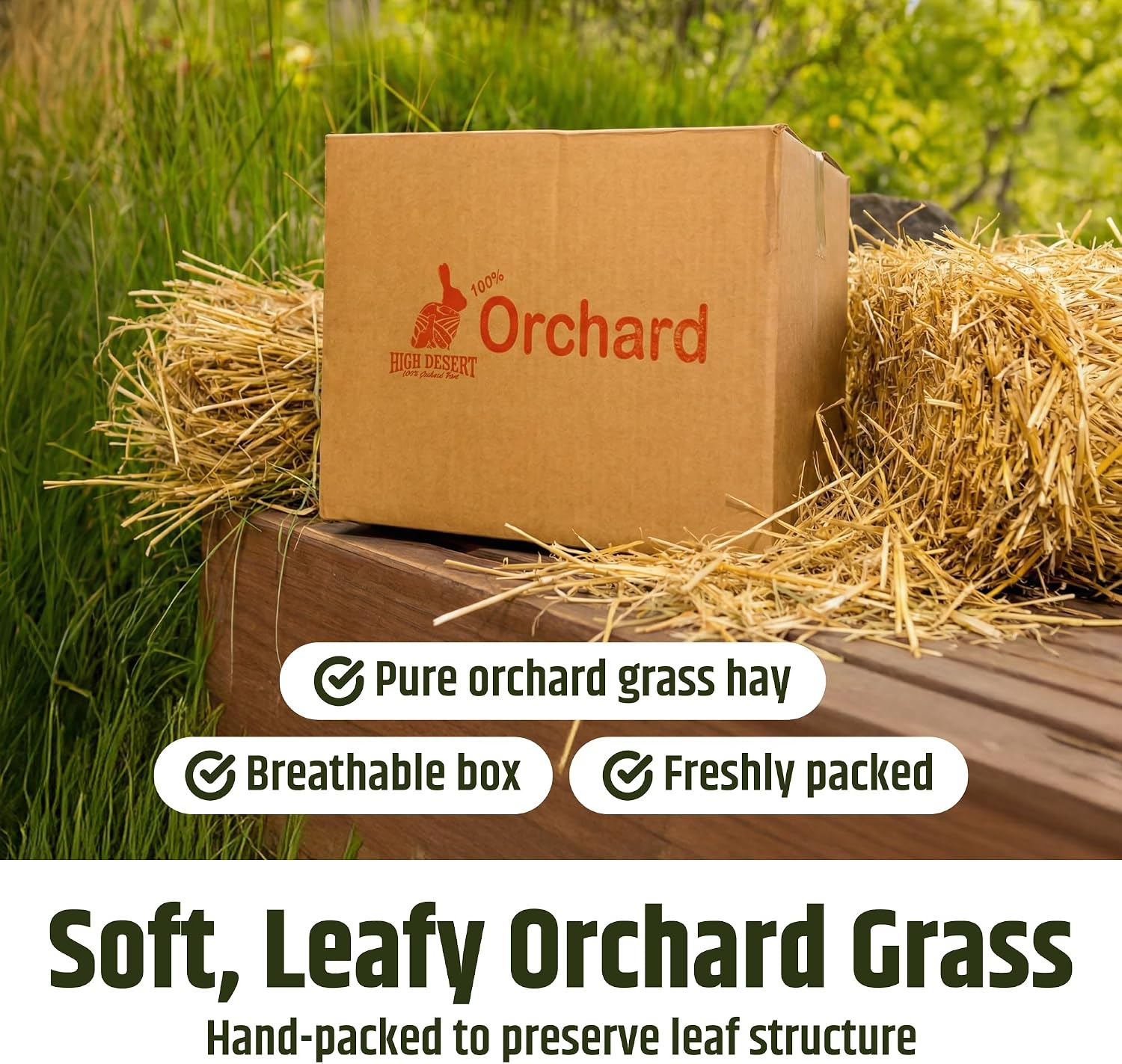 High Desert Orchard Grass Hay, Natural Orchard Hay for Rabbits Guinea Pigs Hamsters and Chinchillas, Soft Leaf Texture for Grazing and Foraging, Small Pet Supplies, Fresh Hand Packed Hay Box, 4 Lb - Image 6