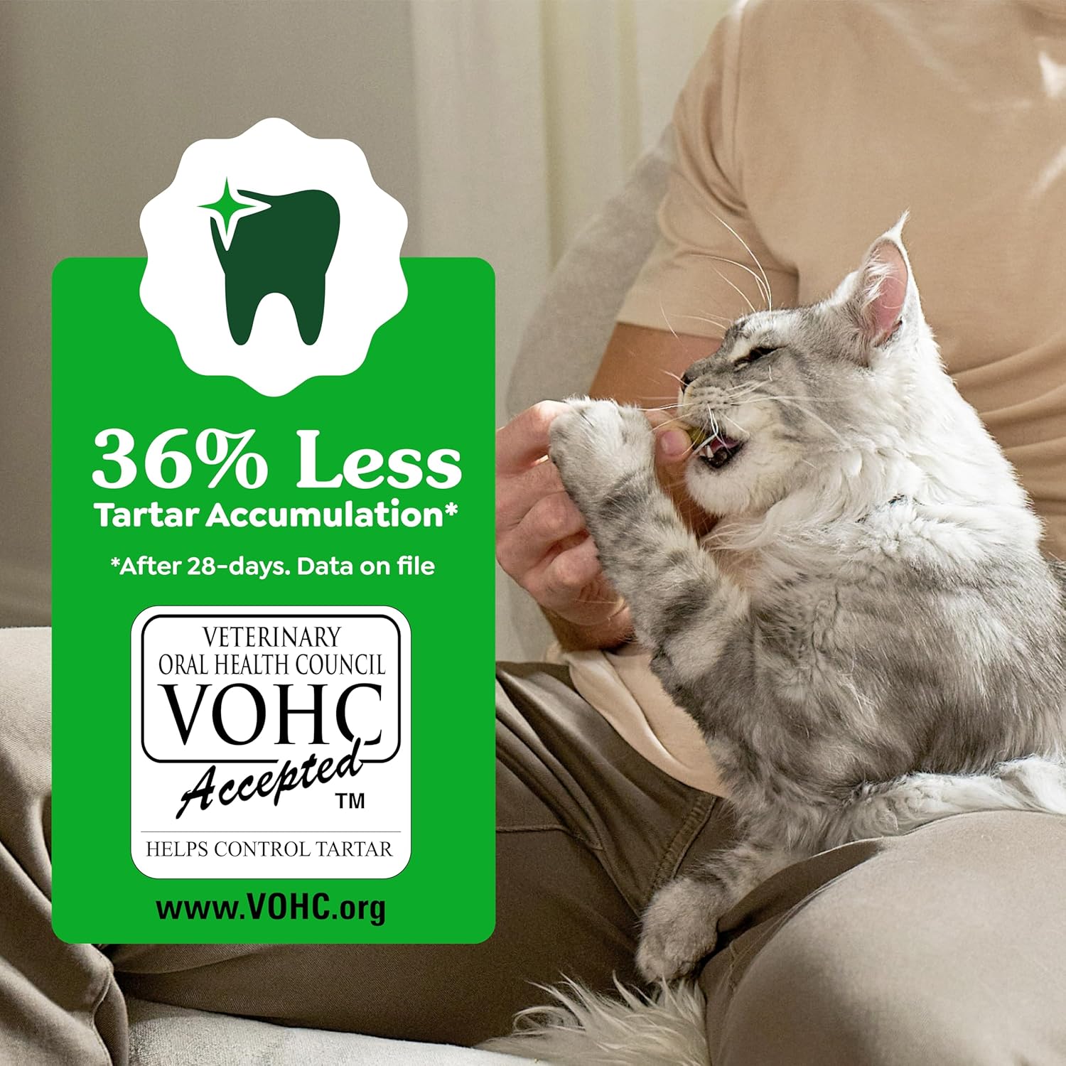 Greenies Cat Treats, Feline Veterinarian-Recommended Adult Natural Dental Cat Treats, Oven Roasted Chicken Flavor, 9.75 oz. Tub - Image 7