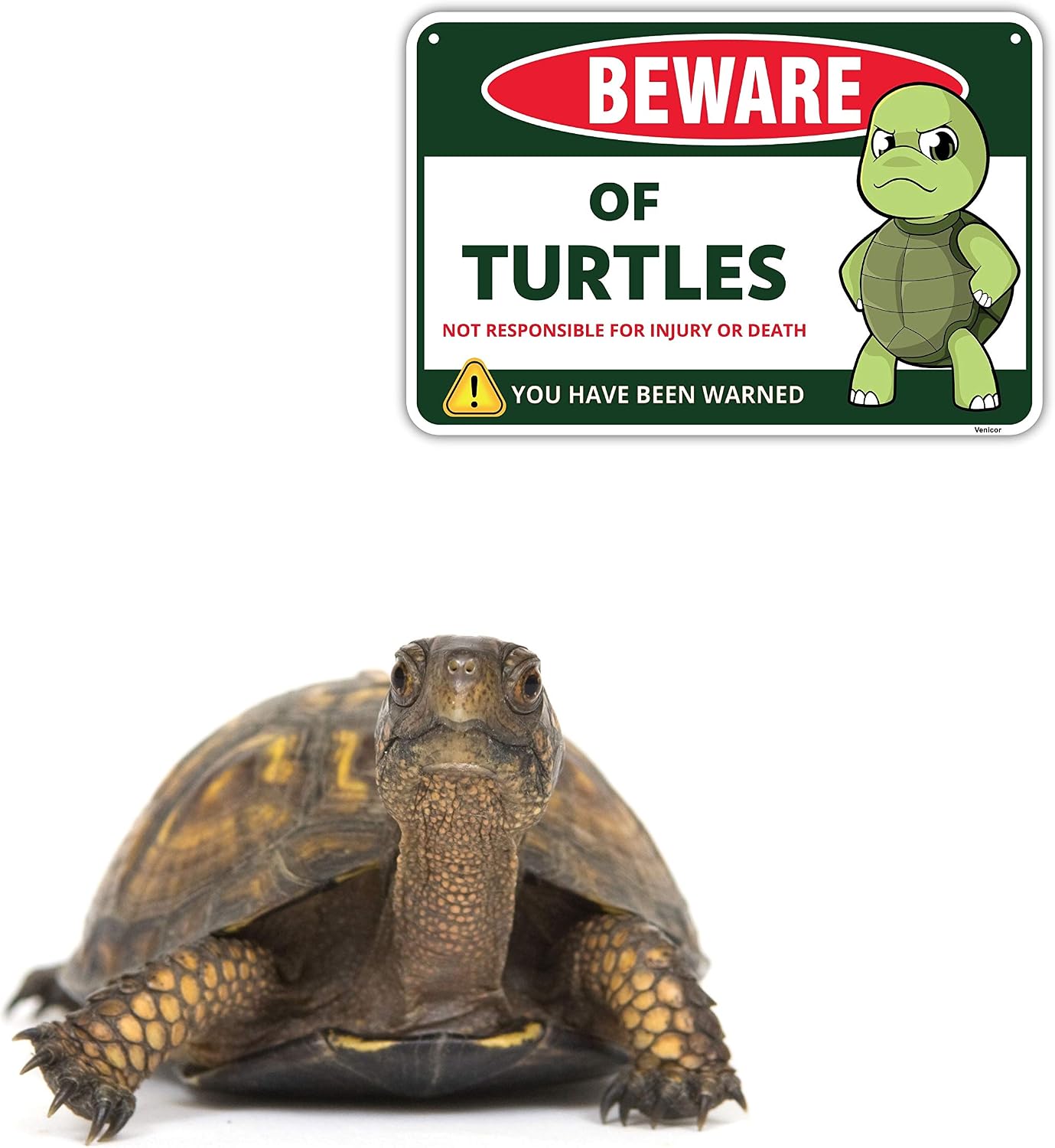 Venicor Turtle Sign Decor - 8 x 12 Inches - Aluminum - Turtle Gifts for Turtle Lovers Women - Pet Turtle Tank Aquarium Accessories Habitat Decorations Stuff - Image 6