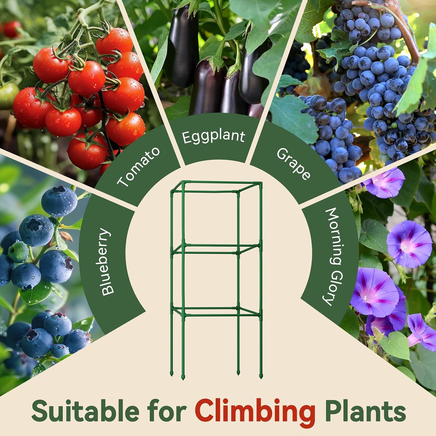 Halatool 2 Pack 45 Inches Tomato Cages for Garden, Heavy Duty Adjustable Square Tomato Trellis for Climbing Plants – Green Plant Support Stakes for Vegetables Flowers Fruits & Raised Bed Outdoor - Image 8