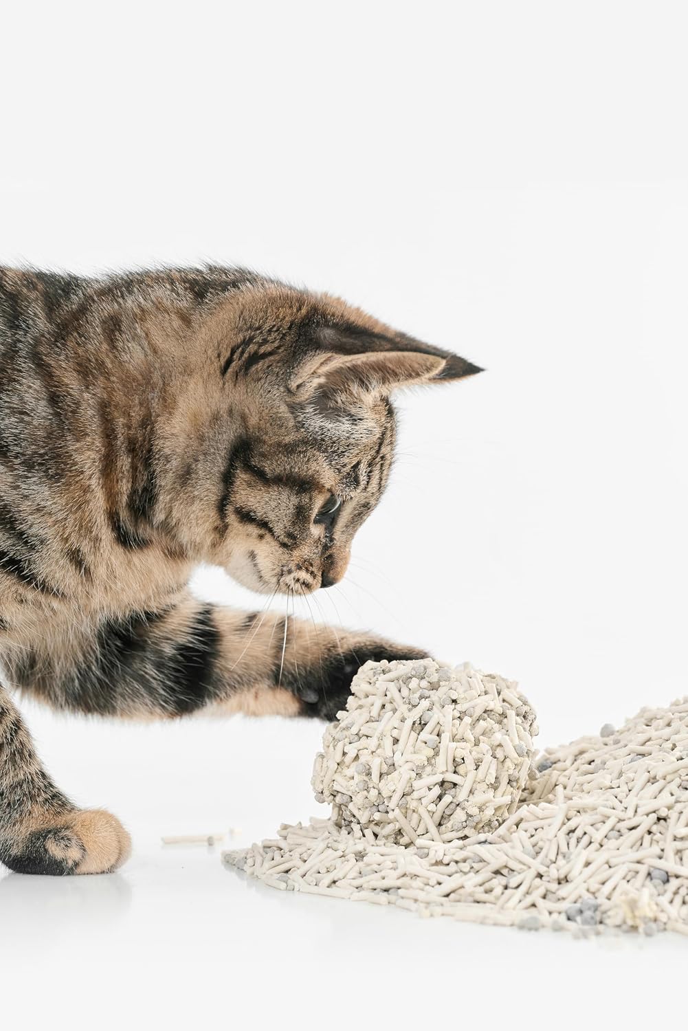 pidan Tofu Cat Litter with Bentonite,Clumping,Mix Litter Plant Based | Plant Based Litter,Dust-Free,Less Scattering,Ultra Absorbent and Fast Drying Natural Ingredients Pea Dregs(5.3lb×2bags) - Image 10