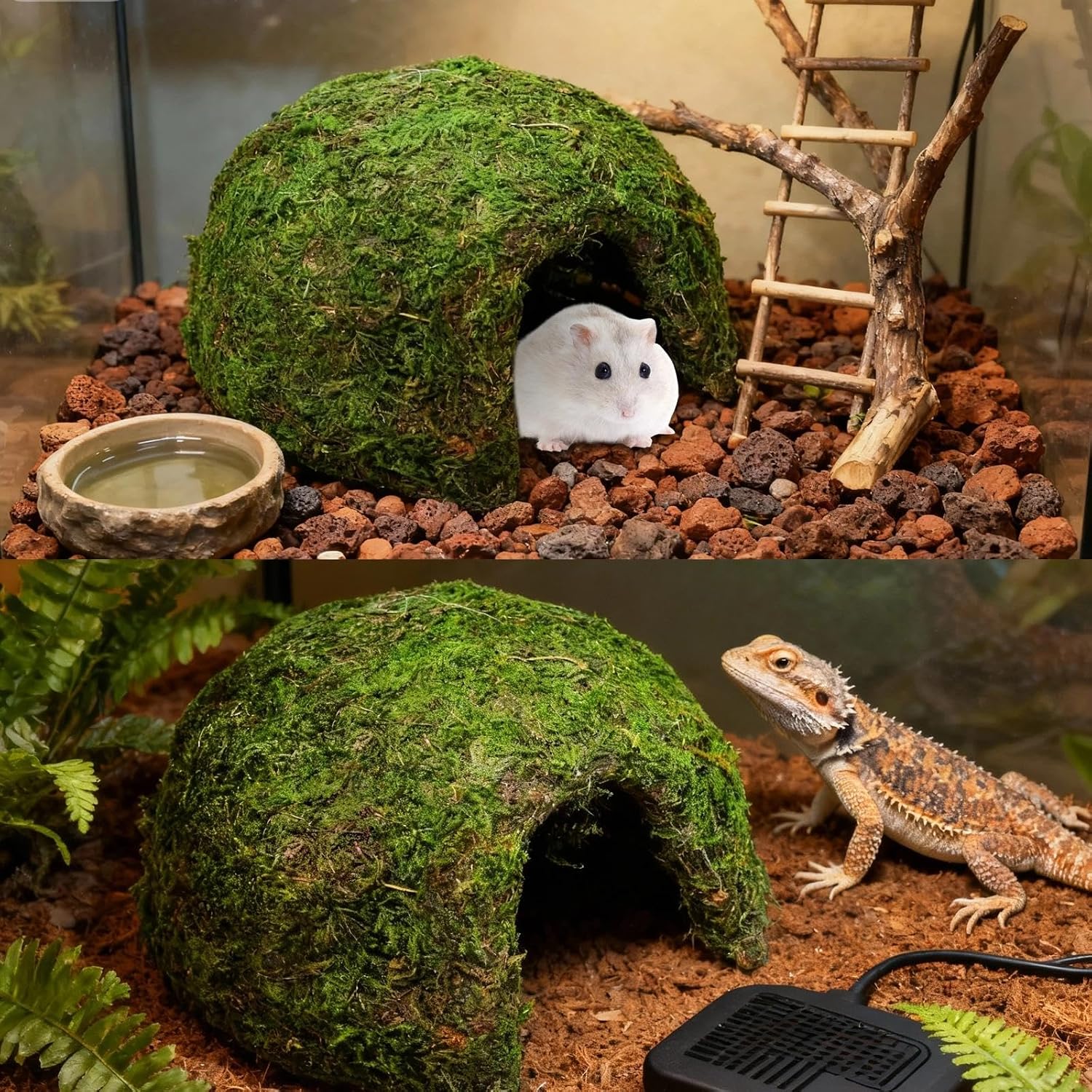 Reptile Moss Hideout, Half Round Cave for Lizards Snakes Frogs | Reptile Moss Hideout, Half-round dome shape, Full moss exterior coverage, Spacious interior room, Stable on all substrates - Image 4