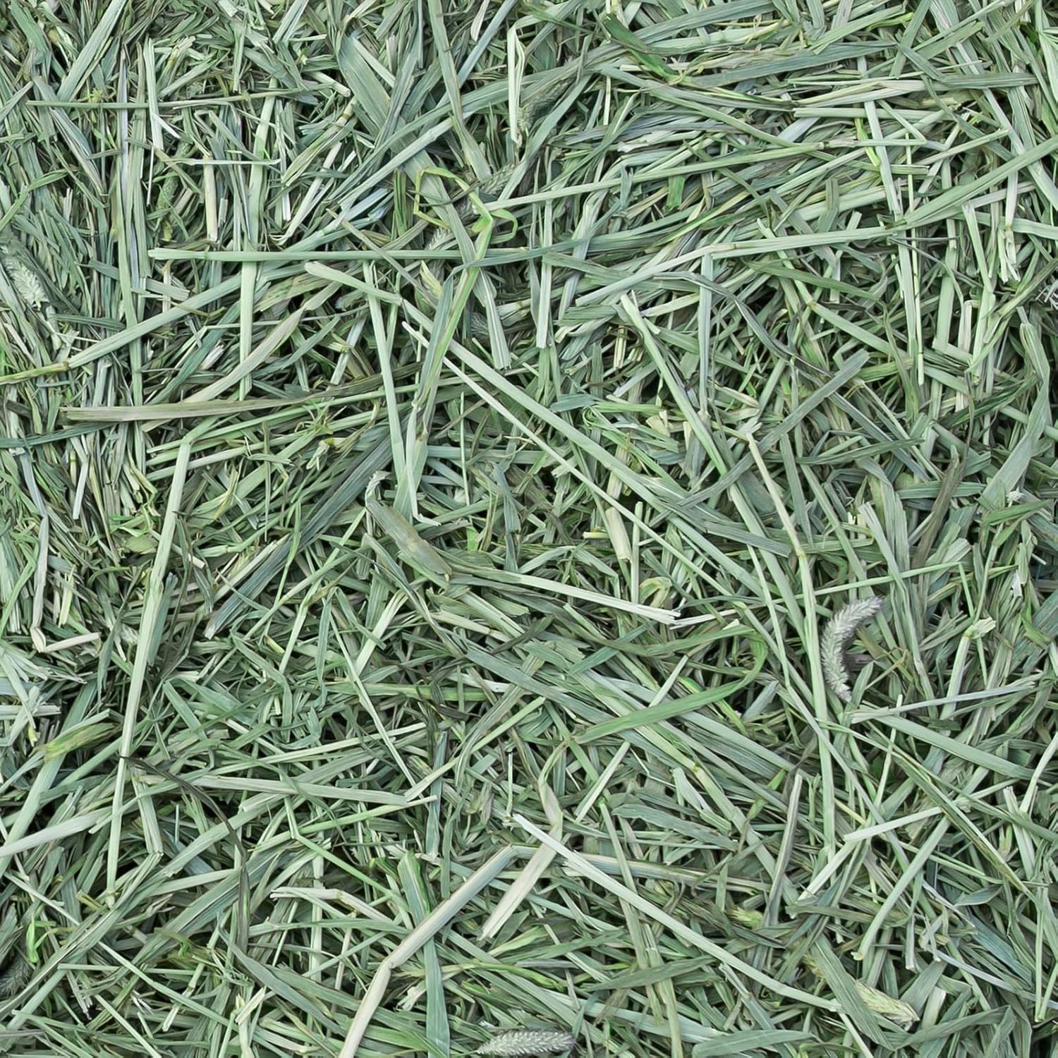 Eaton Pet and Pasture Naturally Grown, Premium, 1st Cut Blend, Western Timothy Hay Orchard Blend, Small Animal Food, Sustainable, Eco-Friendly, Farmer-Owned, 6LB-Box. - Image 6