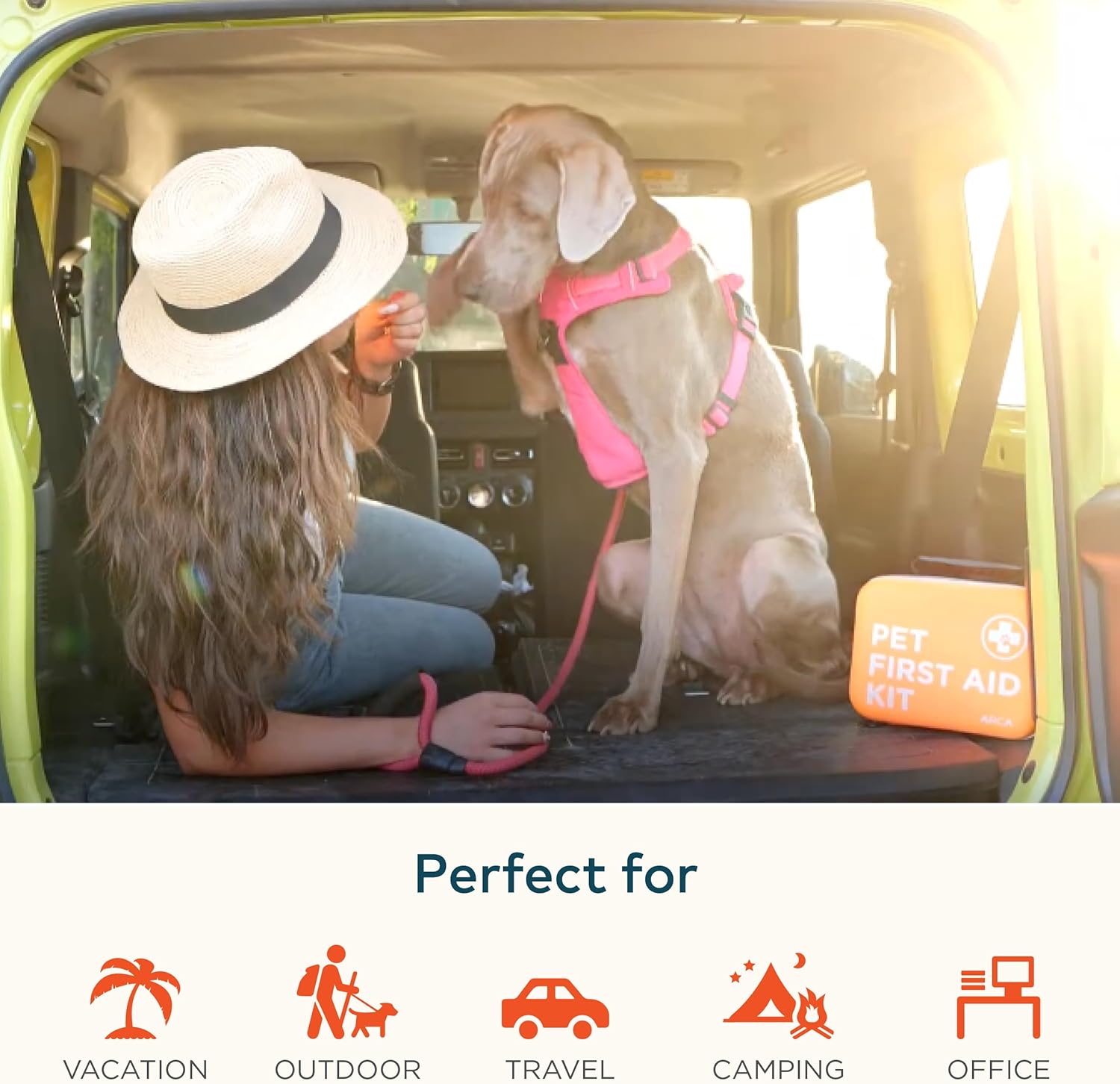 ARCA PET Cat & Dog First Aid Kit for Car - Pet Emergency Kit for Home Office Travel – Dog Camping Essentials with Digital Thermometer, Muzzle & Mini First Aid Pouch - Image 5