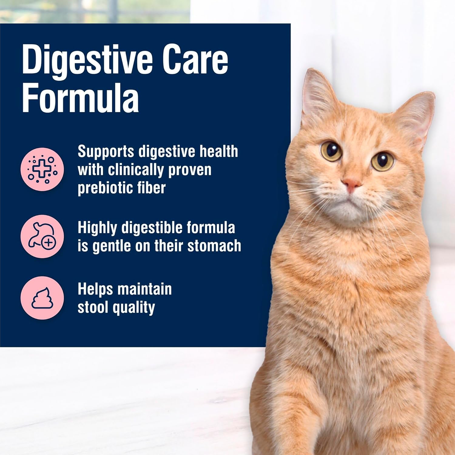 Blue Buffalo True Solutions Digestive Care Natural Dry Cat Food for Adult Cats, Chicken, 3.5-lb. Bag - Image 4