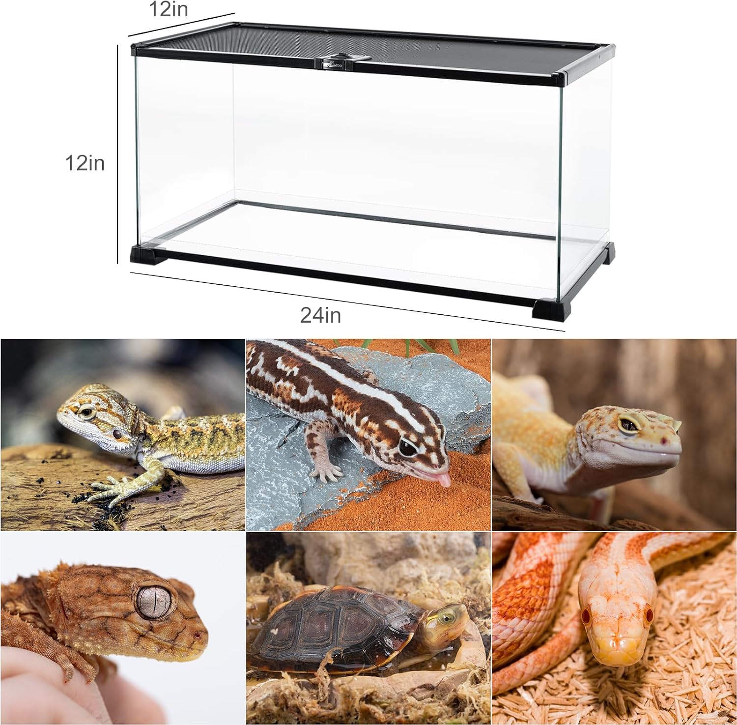 REPTI ZOO Full Glass 15 Gallon Reptile Tank, Medium Reptile Terrarium 24" X 12" X 12" for Gecko Hermit Crab Hognose Snake etc, Top Screen Ventilation & Feeding - Image 2