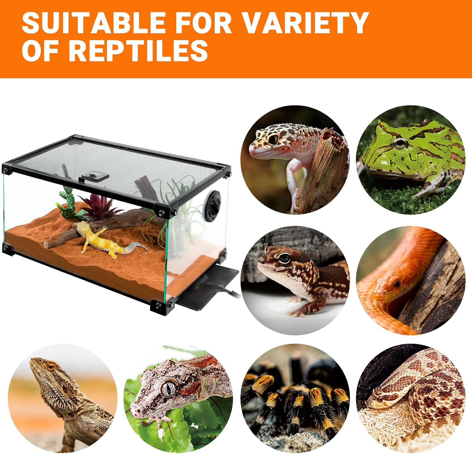 REPTI ZOO 8" X 12" Reptile Heat Pad 24W Fast Heating Pad with Adjustable Thermostat Reptile Heat Mat for Turtles/Hermit Crabs/Bearded Dragons/Leopard Geckos/Snakes/Lizards, and Seed Germination - Image 7