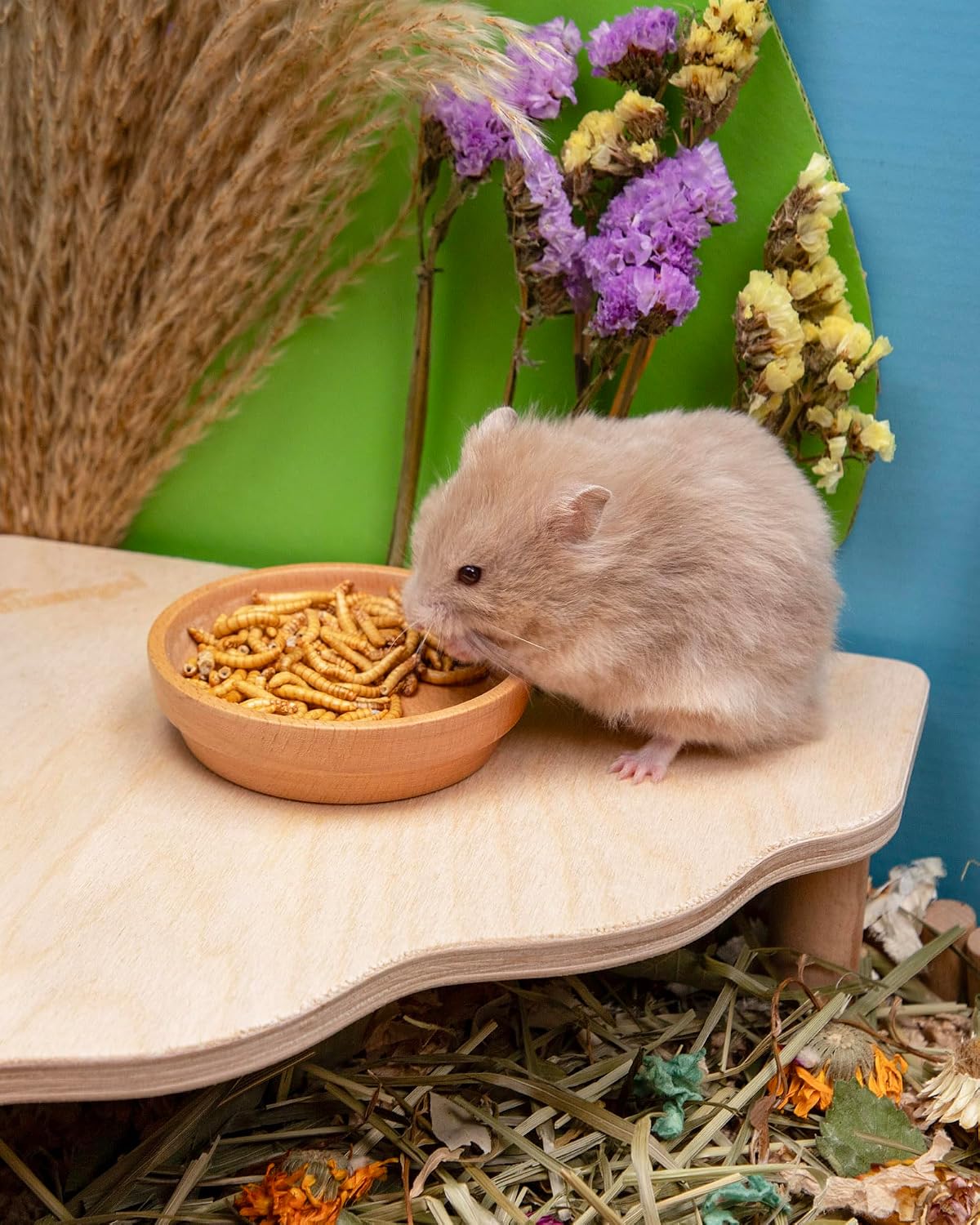 Niteangel Small Animal Snack & Treats Toy - Small Critter Natural Treat for Dwarf Syrian Robo Hamsters Gerbils Mice Lemmings Sugar Glider Hedgehogs Chickens Birds or Other Small-Sized Pets - Image 5