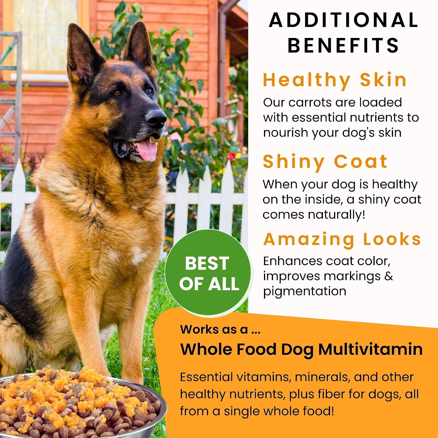 Olewo Original Carrots for Dogs – Fiber for Perfect Poop, Dehydrated Dog Food Toppers for Picky Eaters, Natural Skin & Coat Support, Multivitamin, Probiotics for Digestive & Gut Health, 1 lb - Image 6