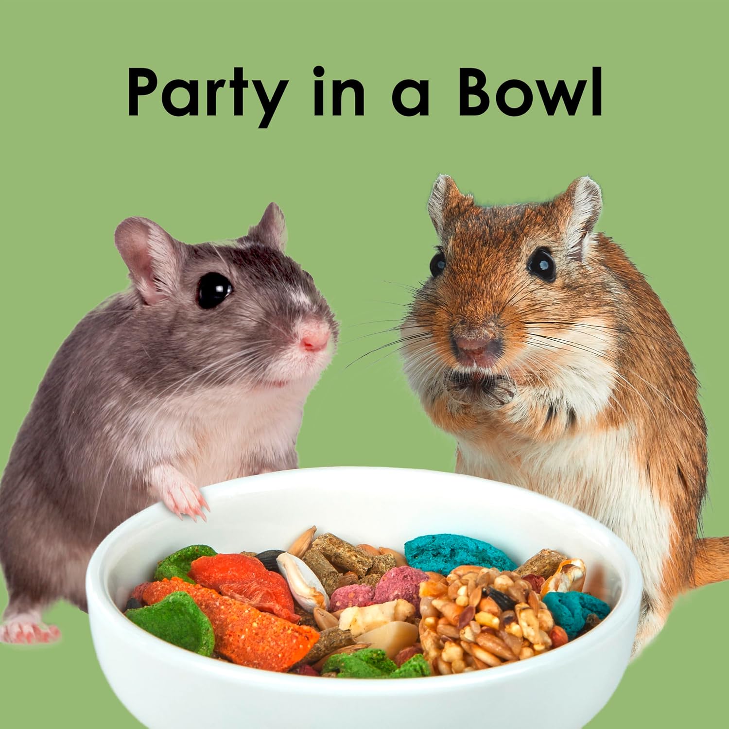Kaytee Fiesta Hamster & Gerbil Food, Nutritious and Fun Blend, Supports Dental Health and Digestion, 4.5 pounds - Image 10
