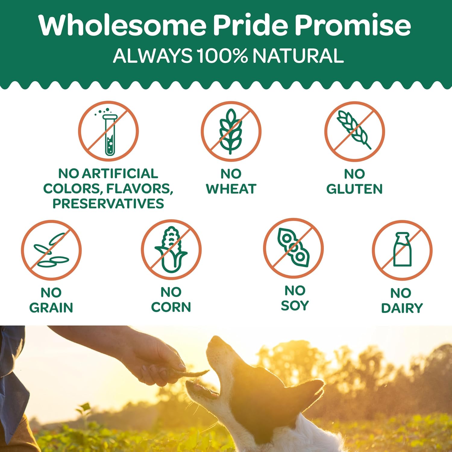 Wholesome Pride Healthy Sweet Potato Chews – Sensitive Stomach Dog Treats, No Preservatives, Single-Ingredient, No Grain, 32 oz - Image 3