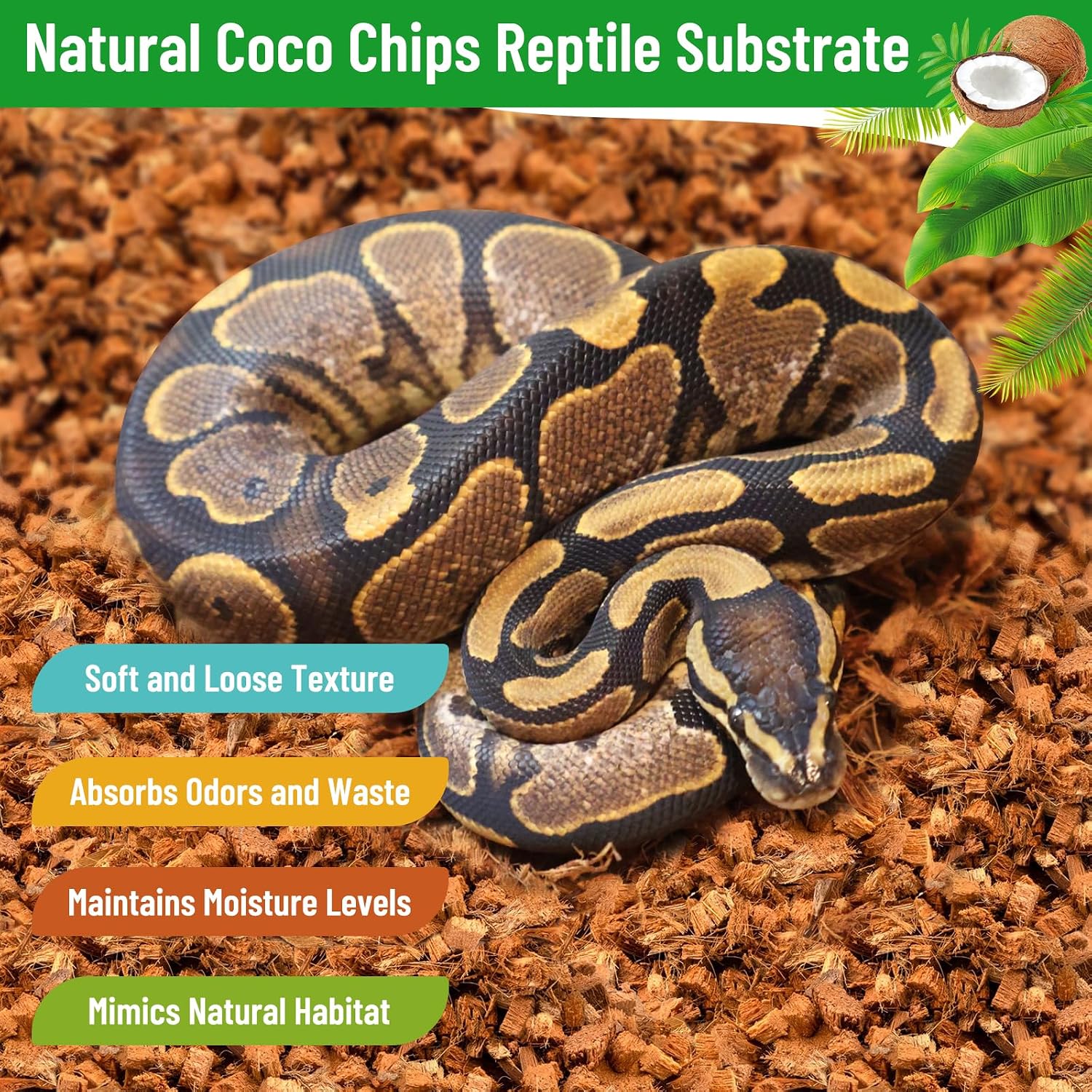 Riare 4 Pack Natural Coconut Chip Substrate for Reptiles- Compressed Coconut Husk Reptiles Bedding, Coco Husk Chip Terrarium Substrate for Snakes, Tortoises, Ball Python, Frogs, Bearded Dragon, Lizard - Image 5