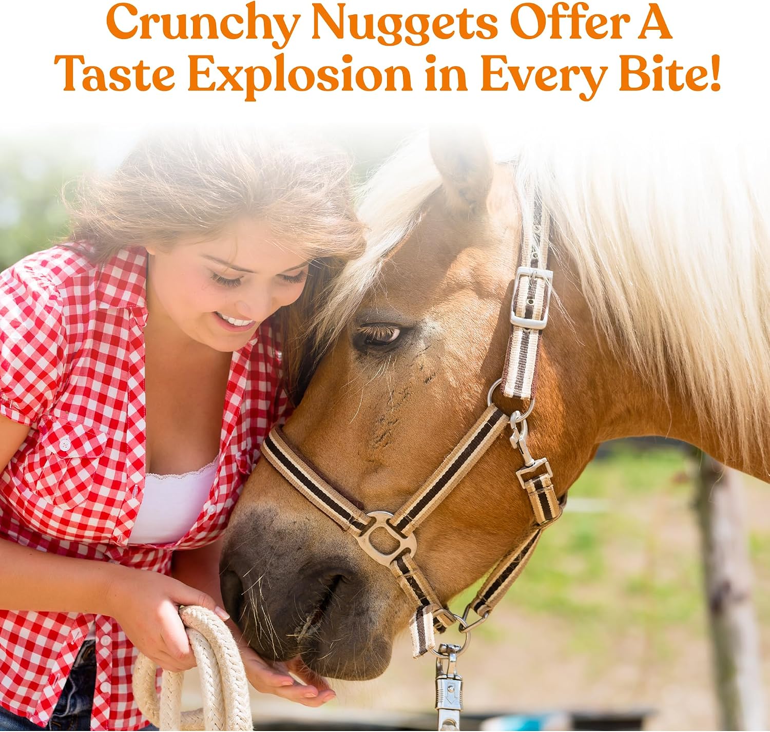 Manna Pro Tasty Delights, Training Horse Treat, Bite-Size Treats for Horses, Jugged Carrot Flavor Treats, 3 LB - Image 4
